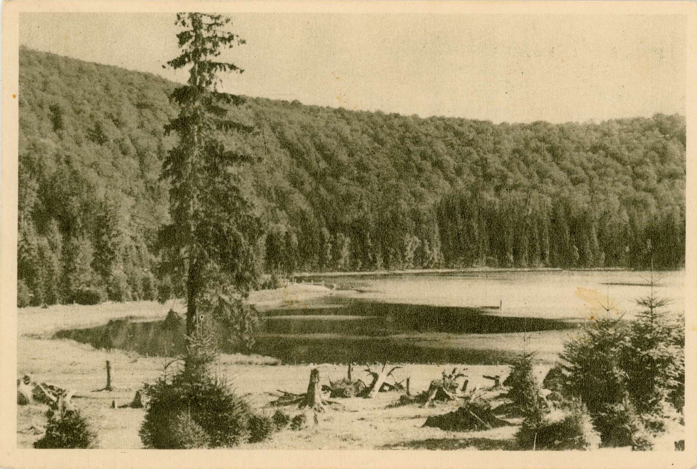 Tușnad - lacul Ana