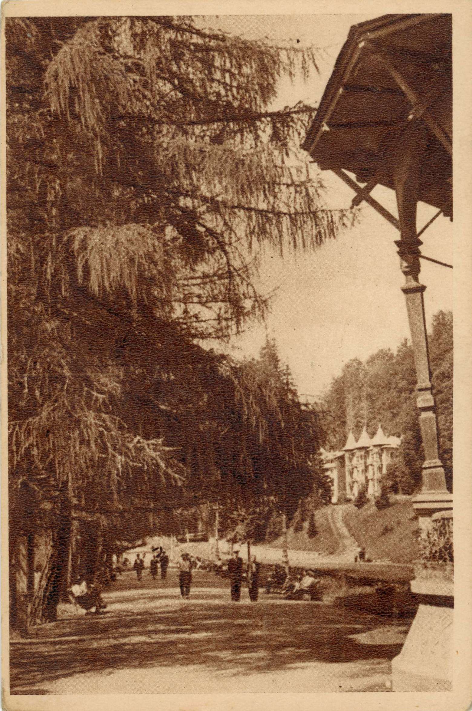 Slănic-Moldova - Alee din parc