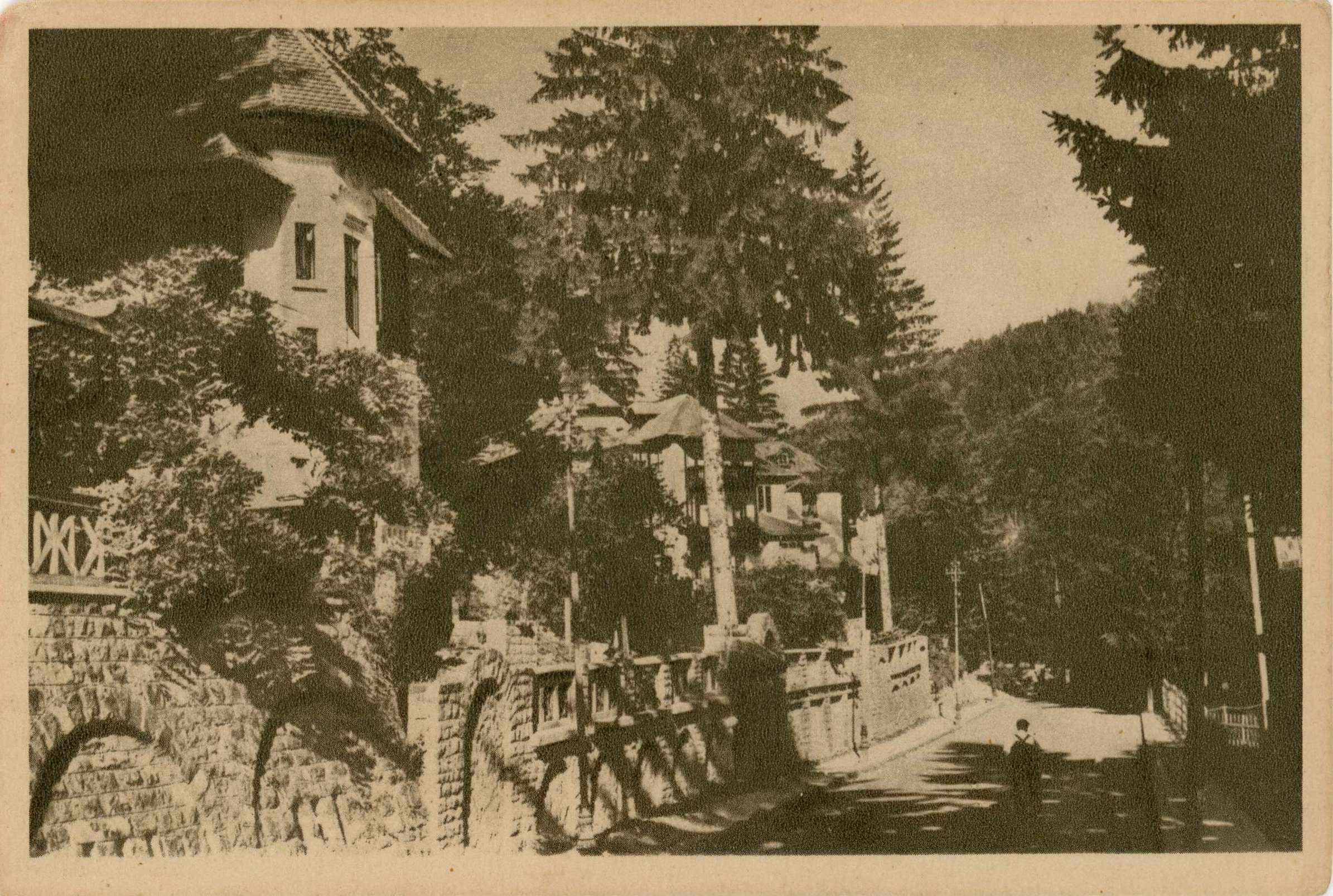Sinaia - vedere