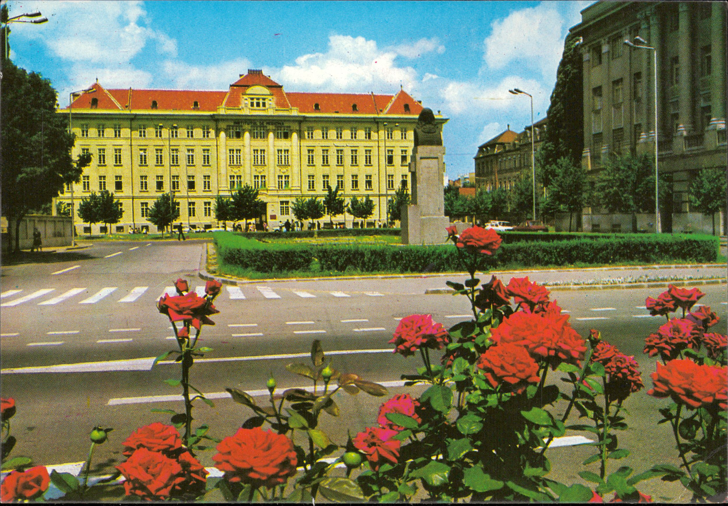 Timișoara. Institutul de medicină, actuala Universitatea de Medicină și Farmacie „Victor Babeș”