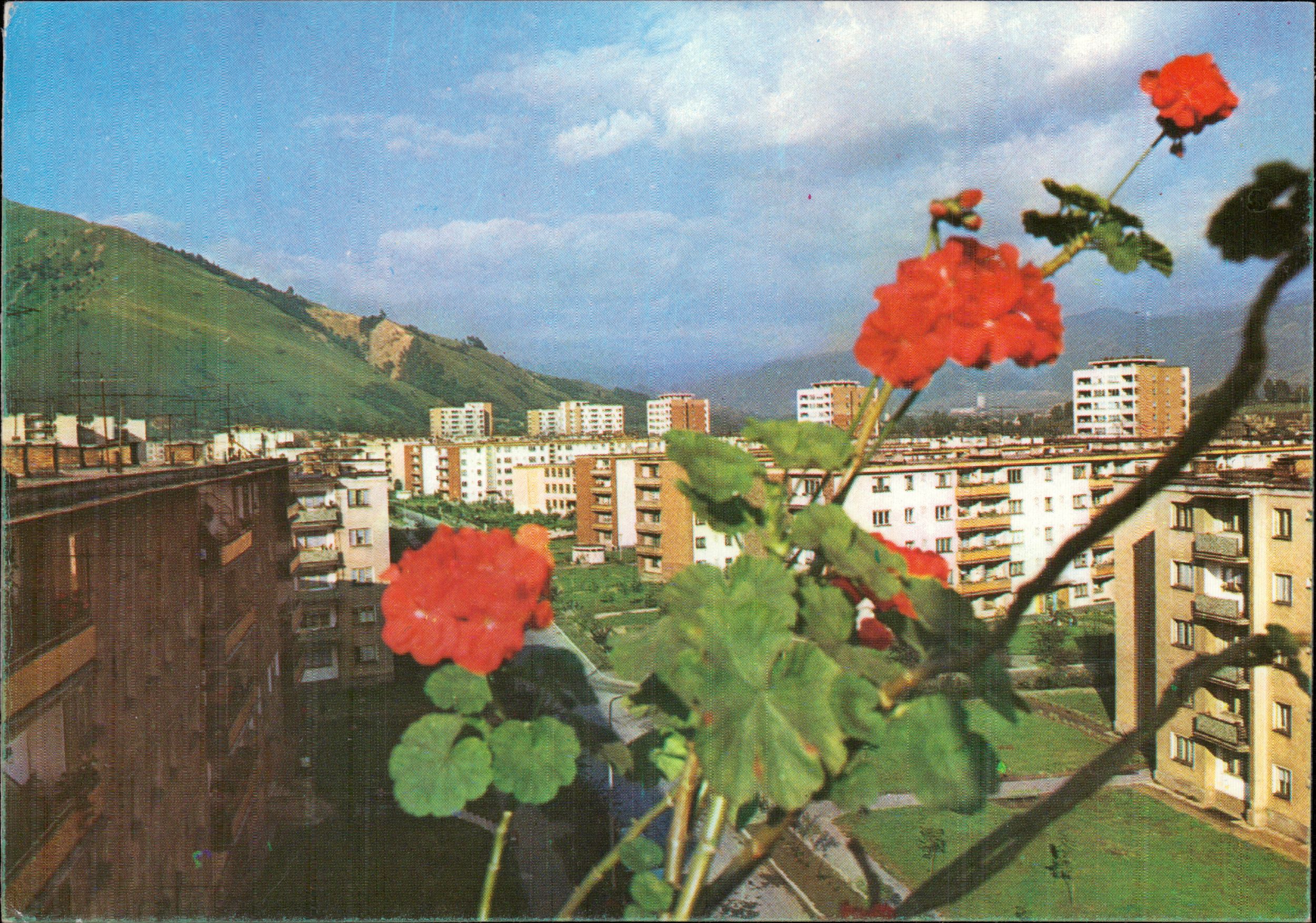 Petrila