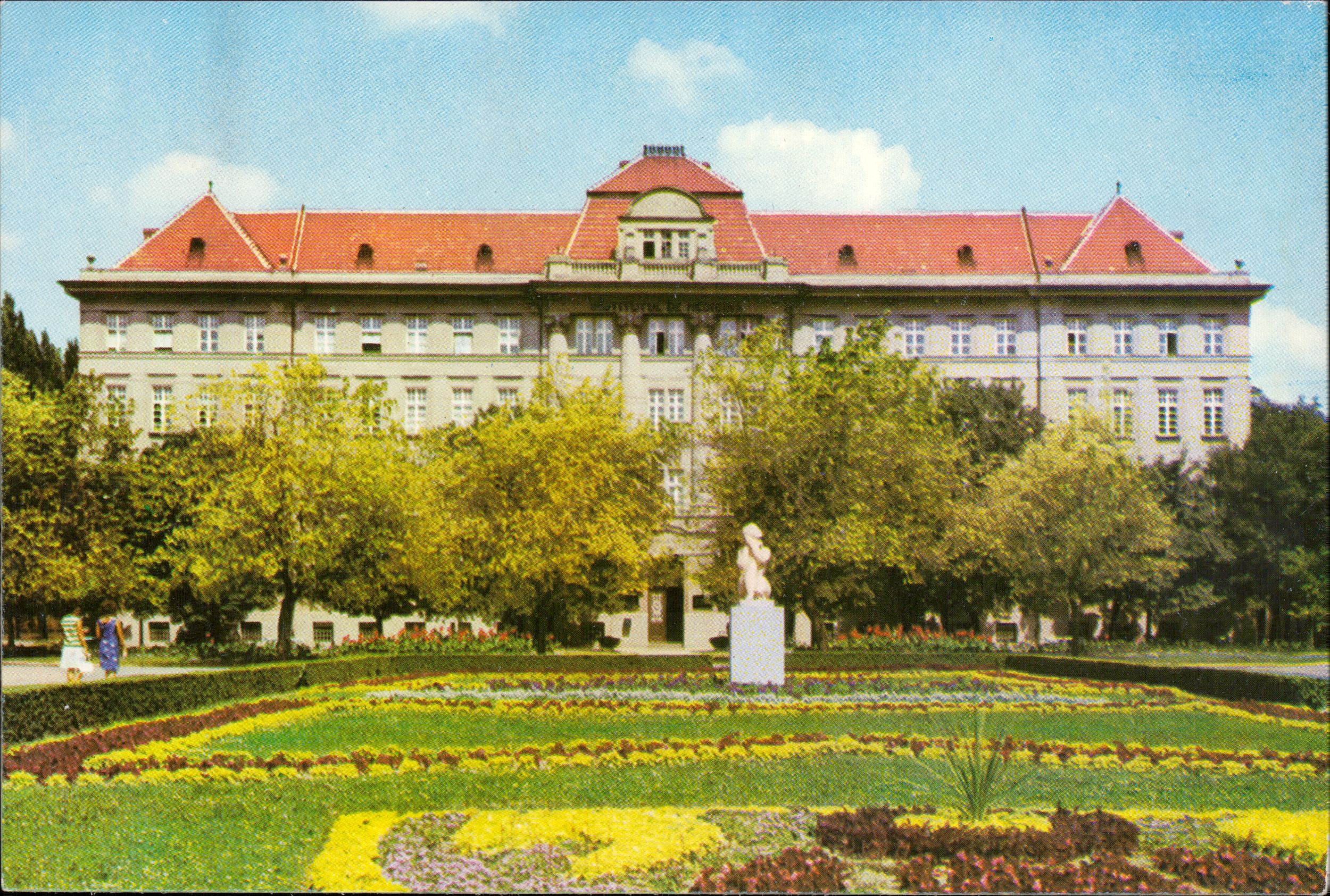 Timișoara. Institutul de medicină