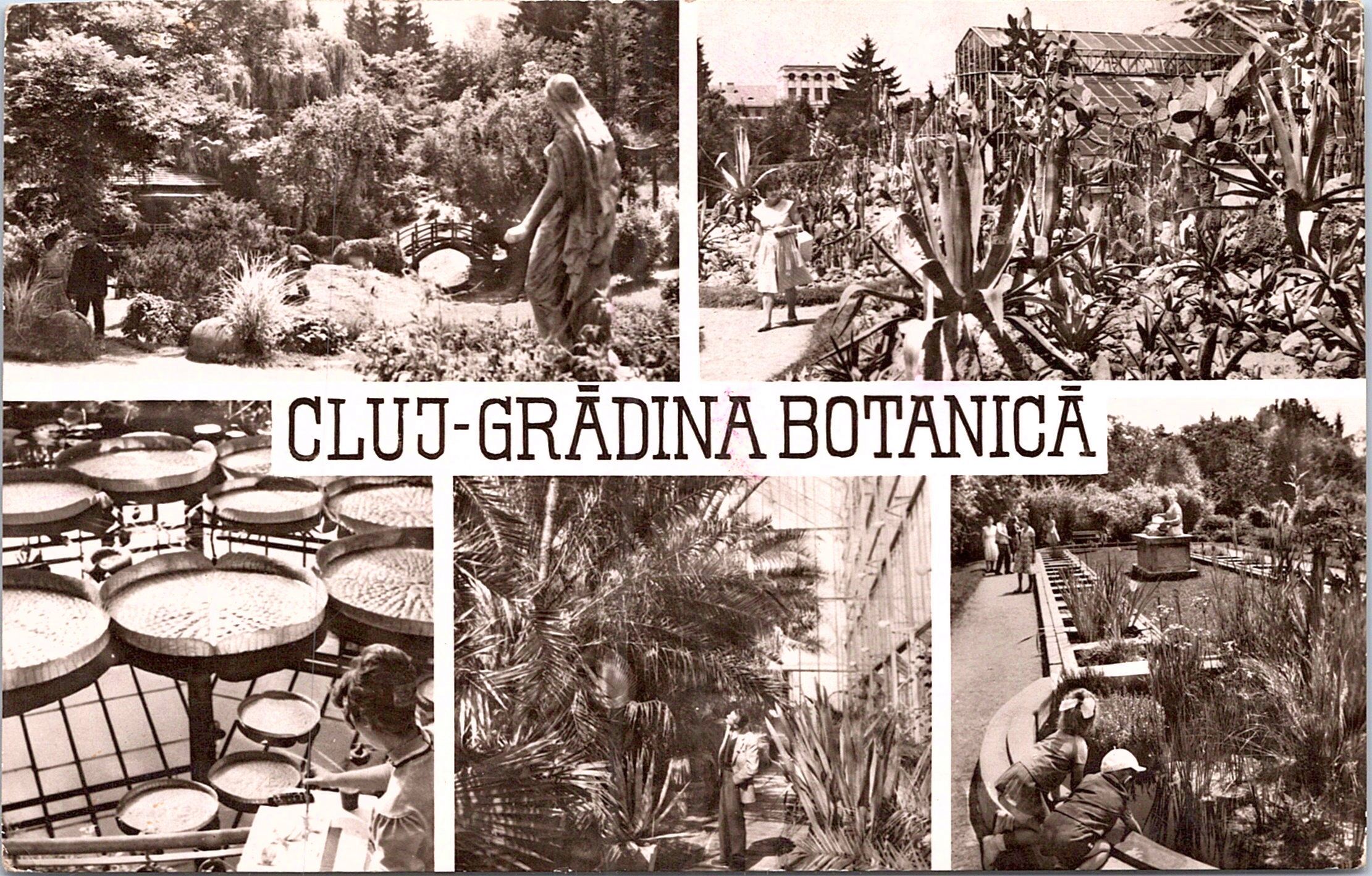Cluj - Botanical Garden