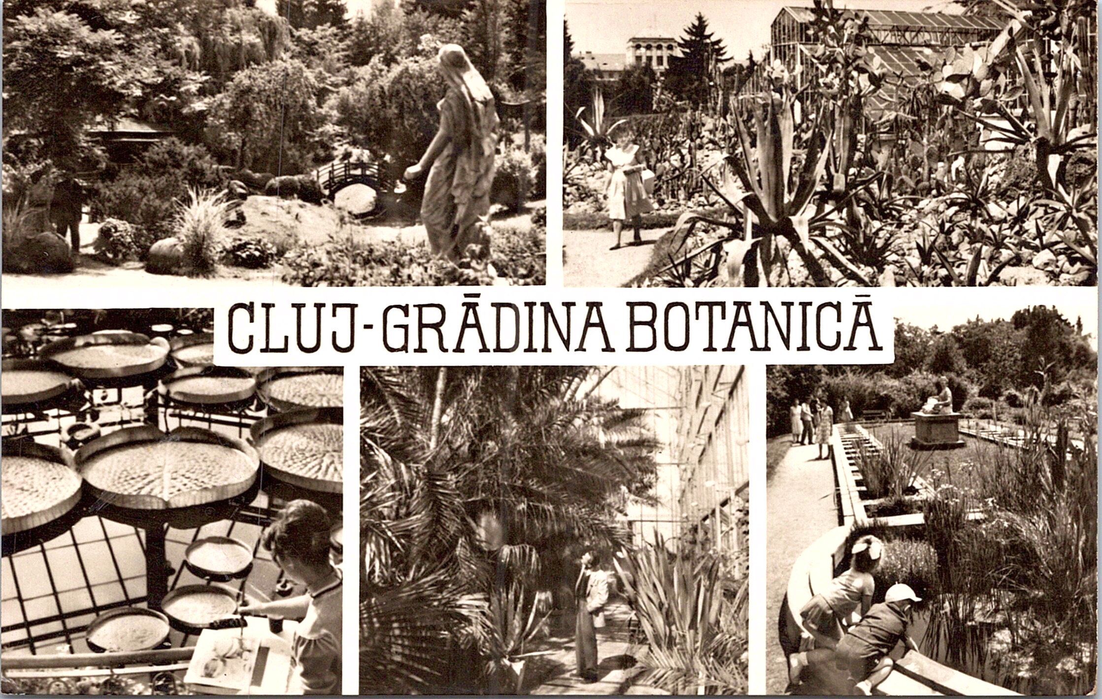 Cluj - Grădina Botanică
