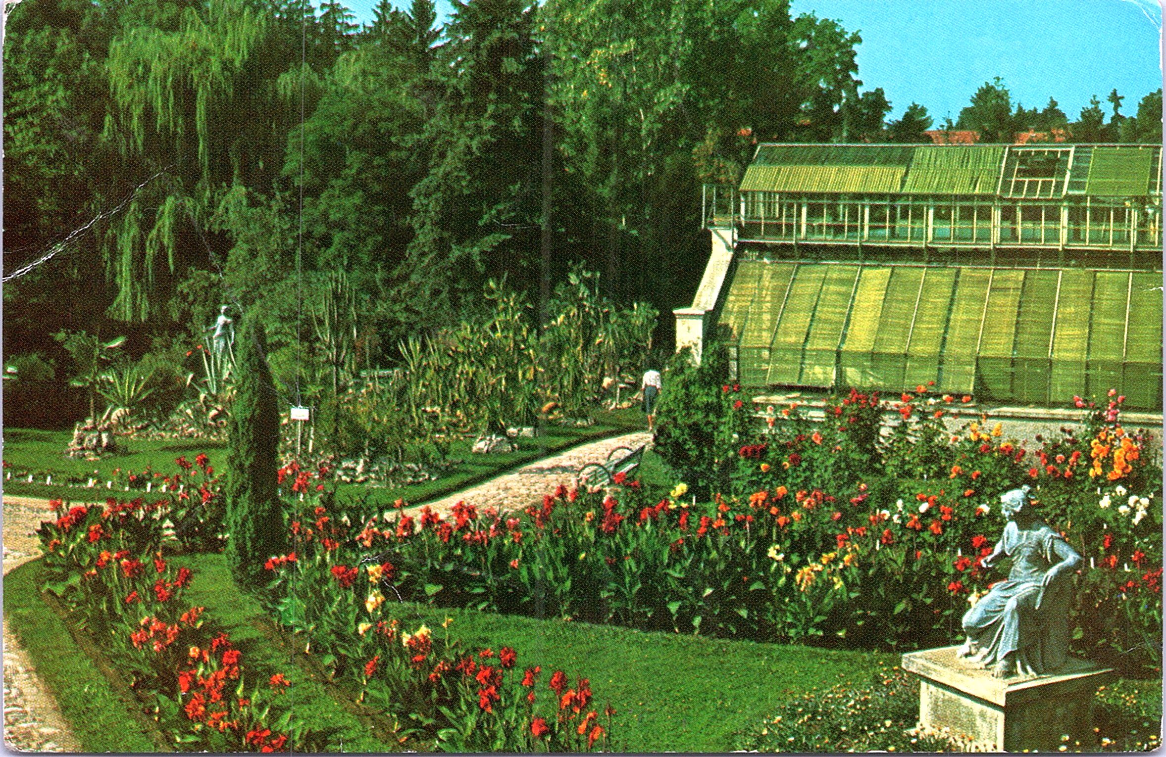 CLUJ. Grădina botanică