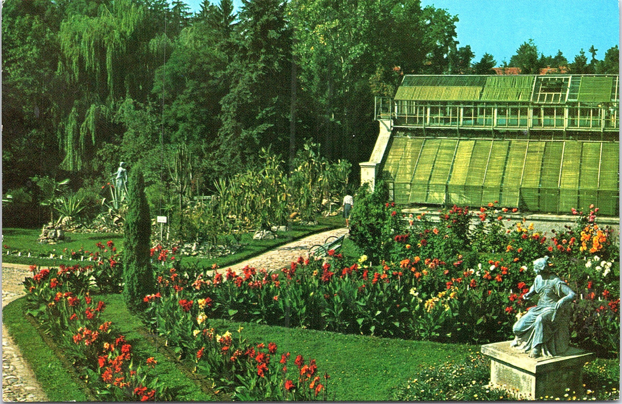 CLUJ. Grădina botanică - In the Botanical Garden - Le Jardin Botanique - Im Botanischen Garten - КЛУЖ. Ботанический сад