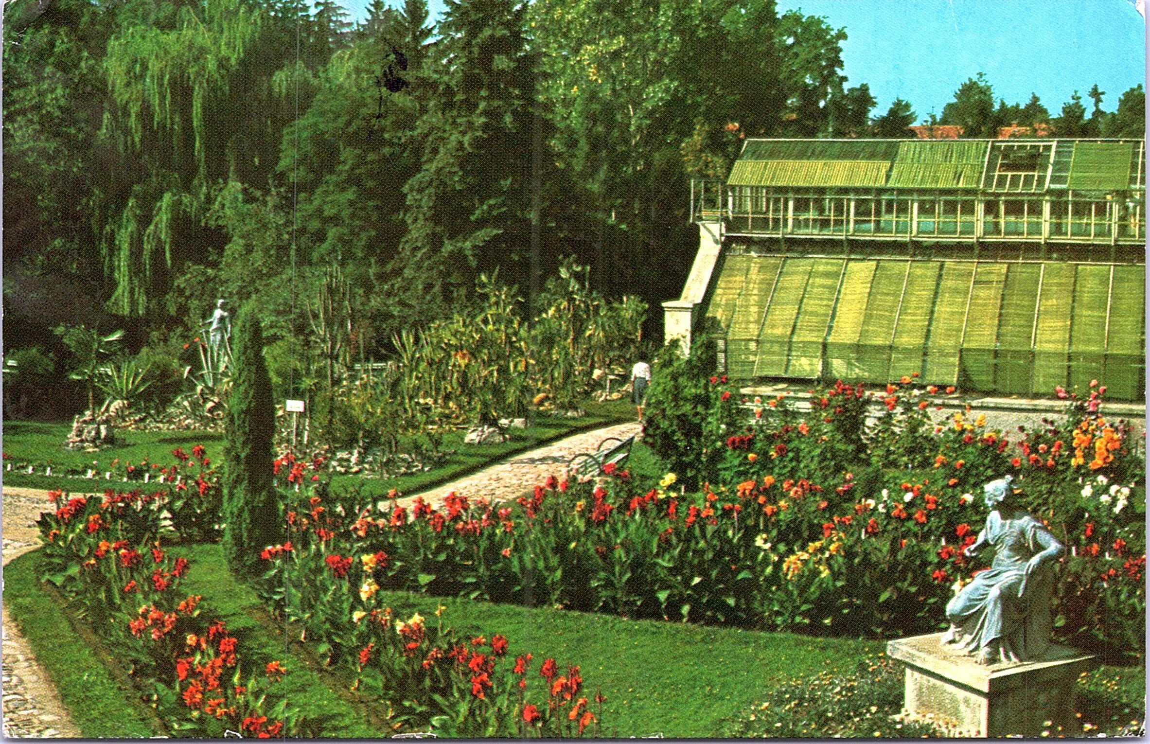 CLUJ. Grădina botanică - In the Botanical Garden - Le Jardin Botanique - Im Botanischen Garten - КЛУЖ. Ботанический сад