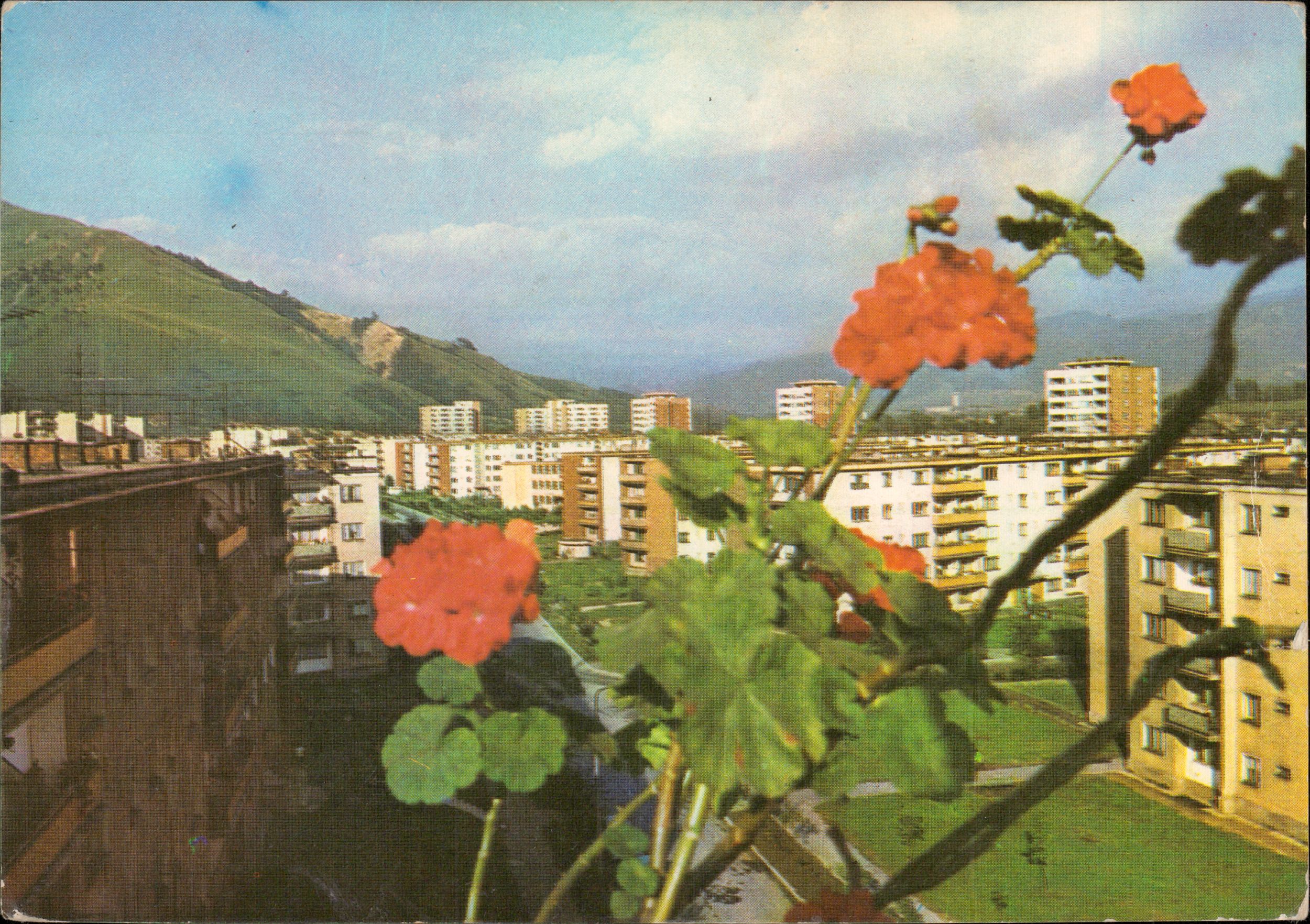 Petrila