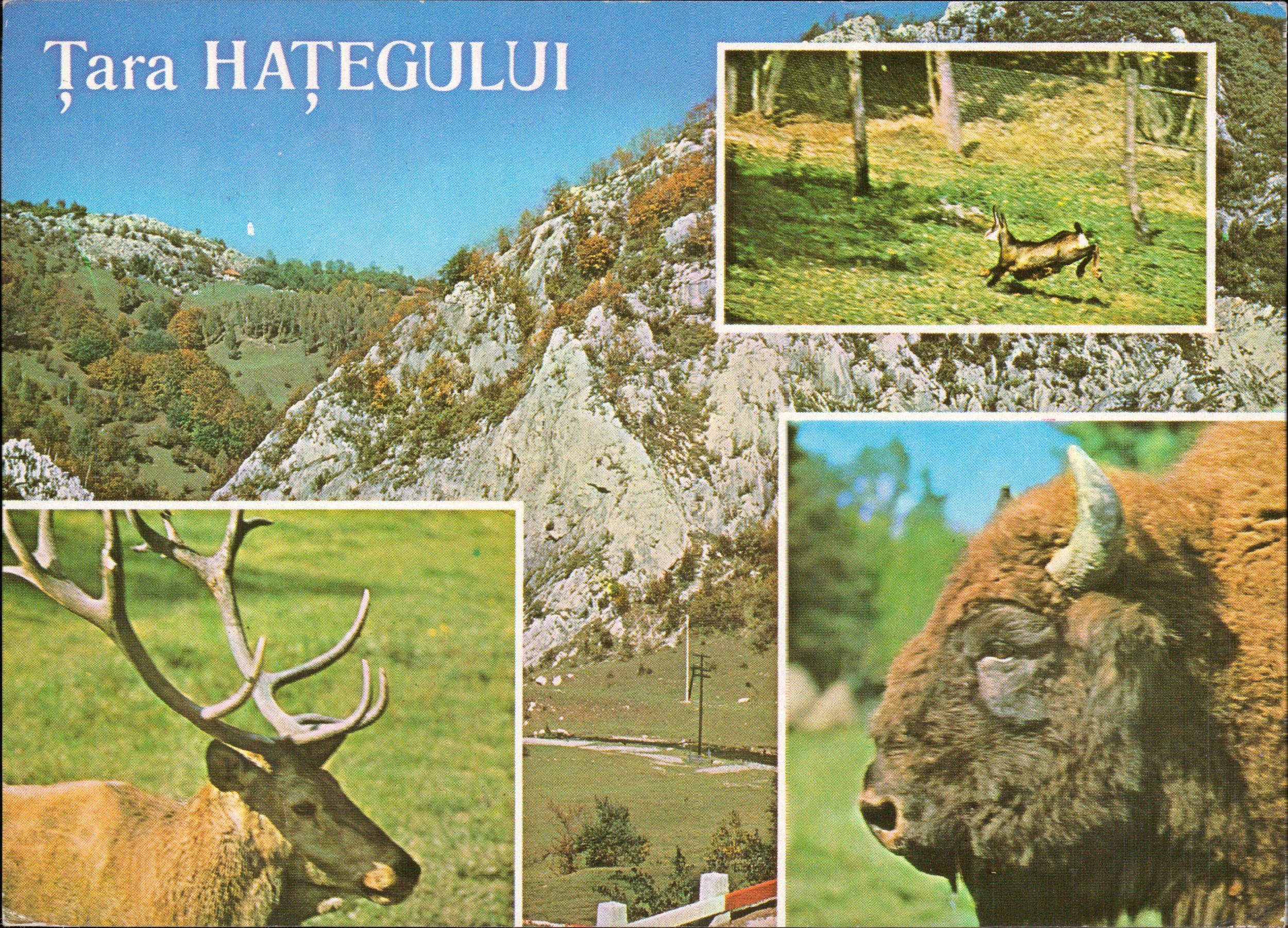 Țara Hațegului