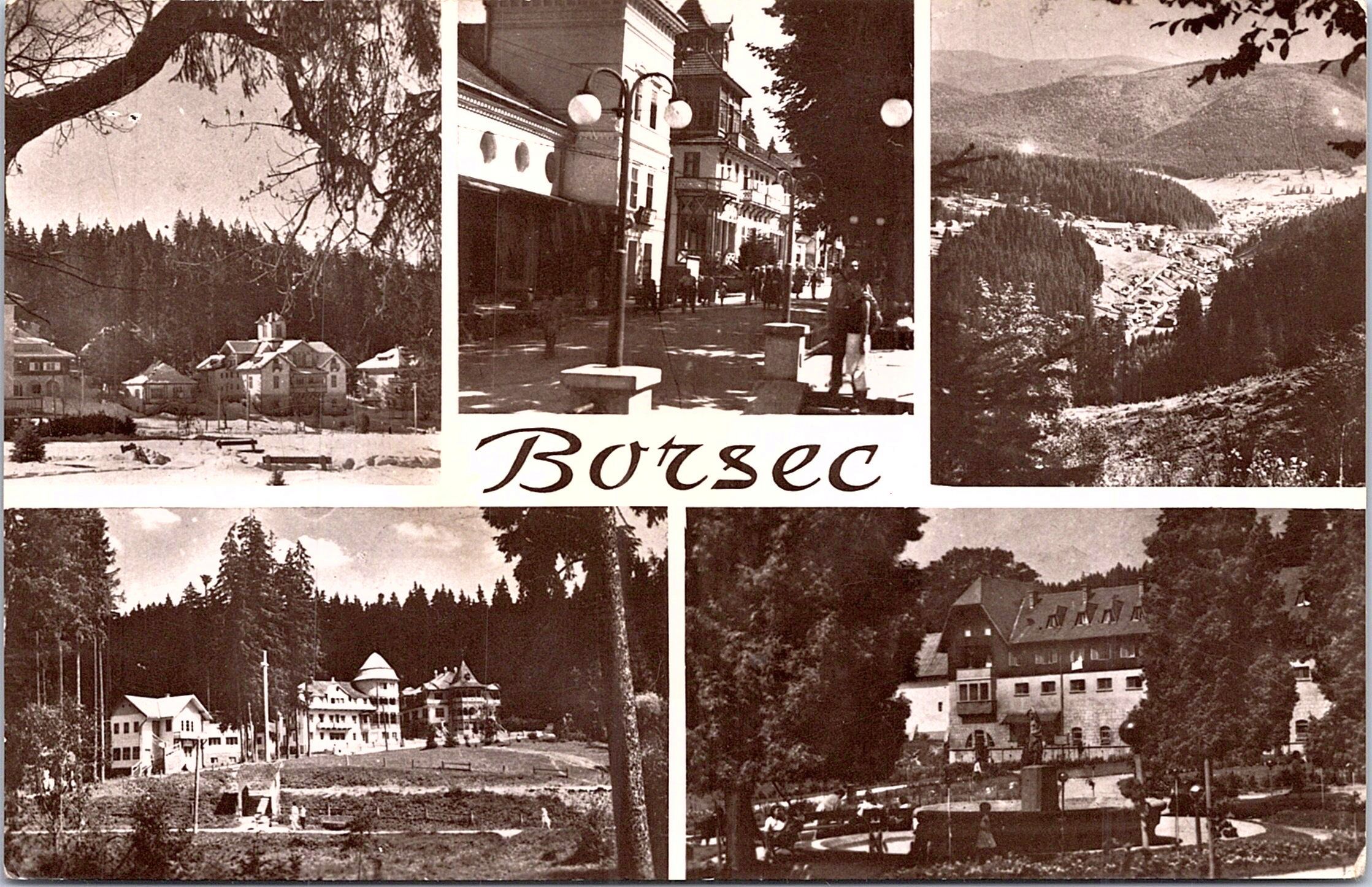 Borsec
