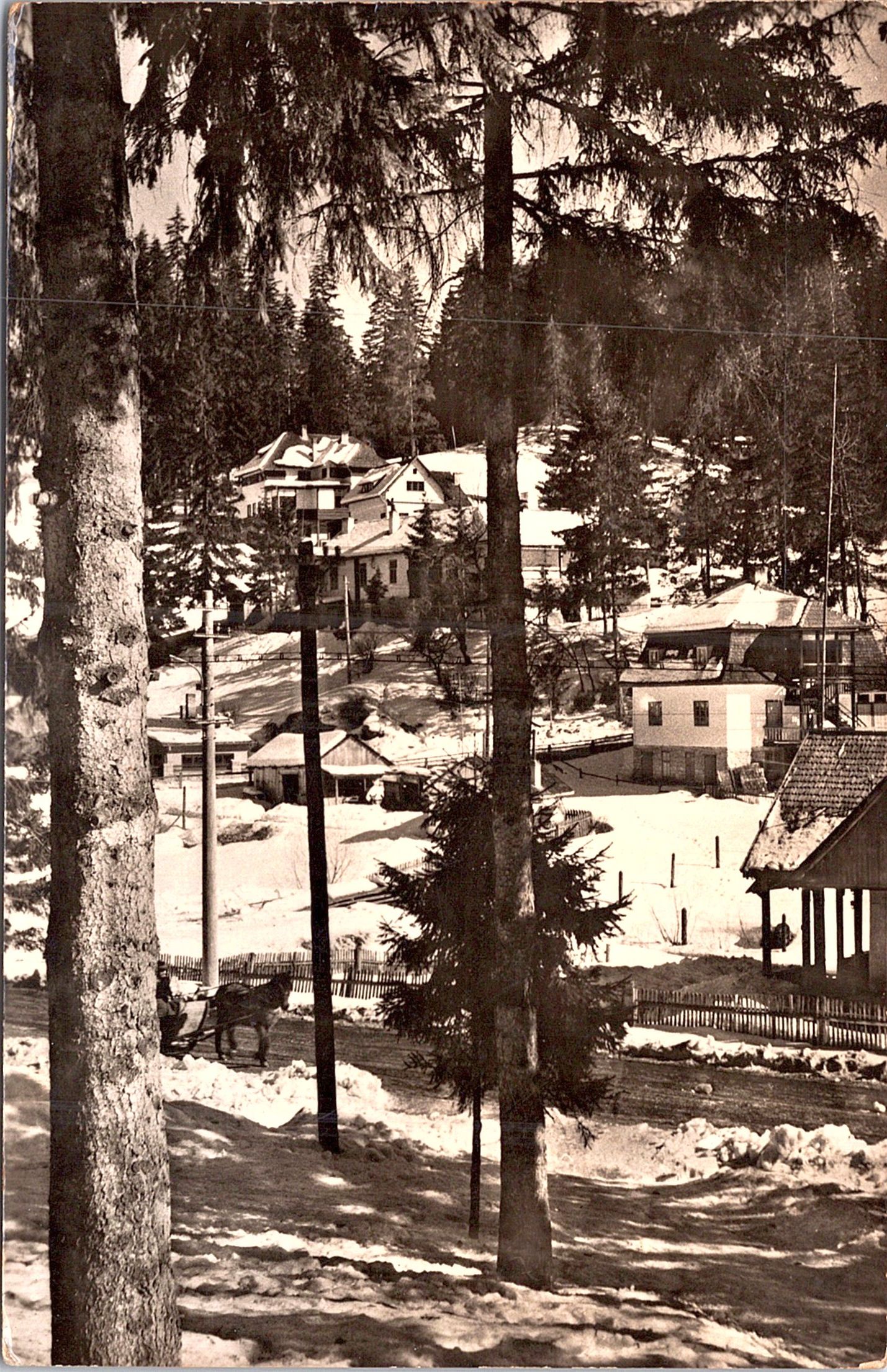 Iarna la Borsec