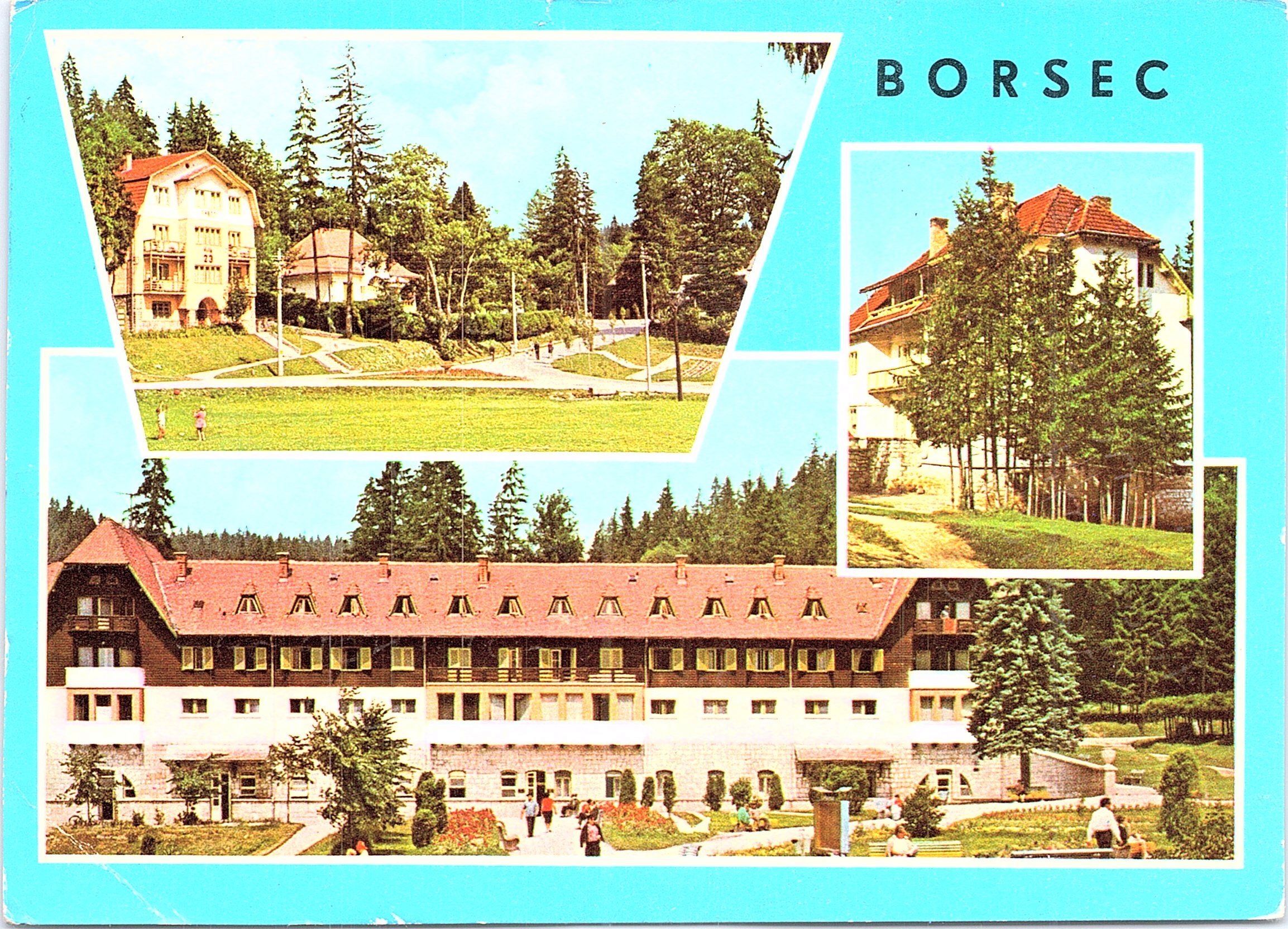 Borsec