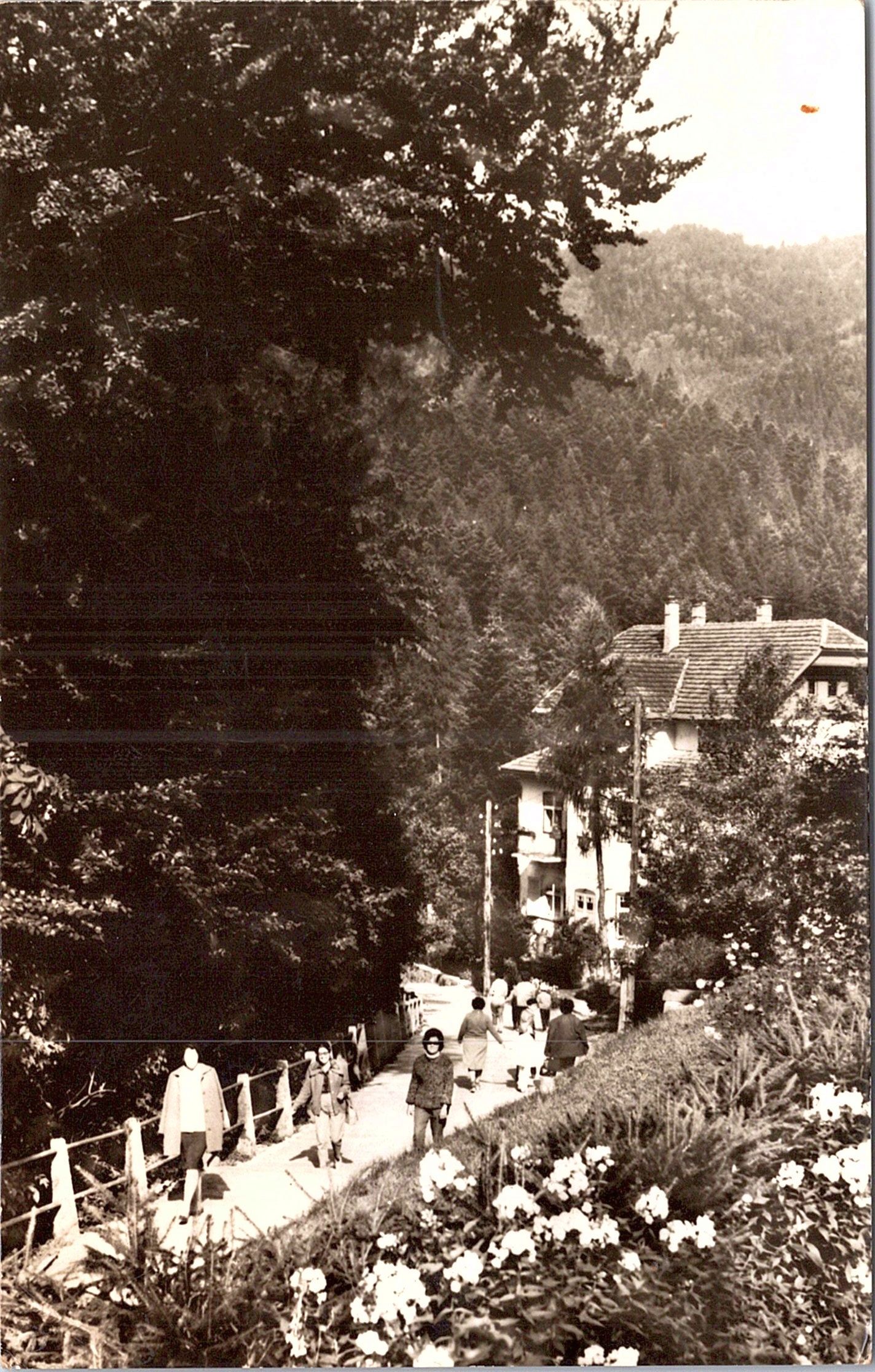 Tușnad