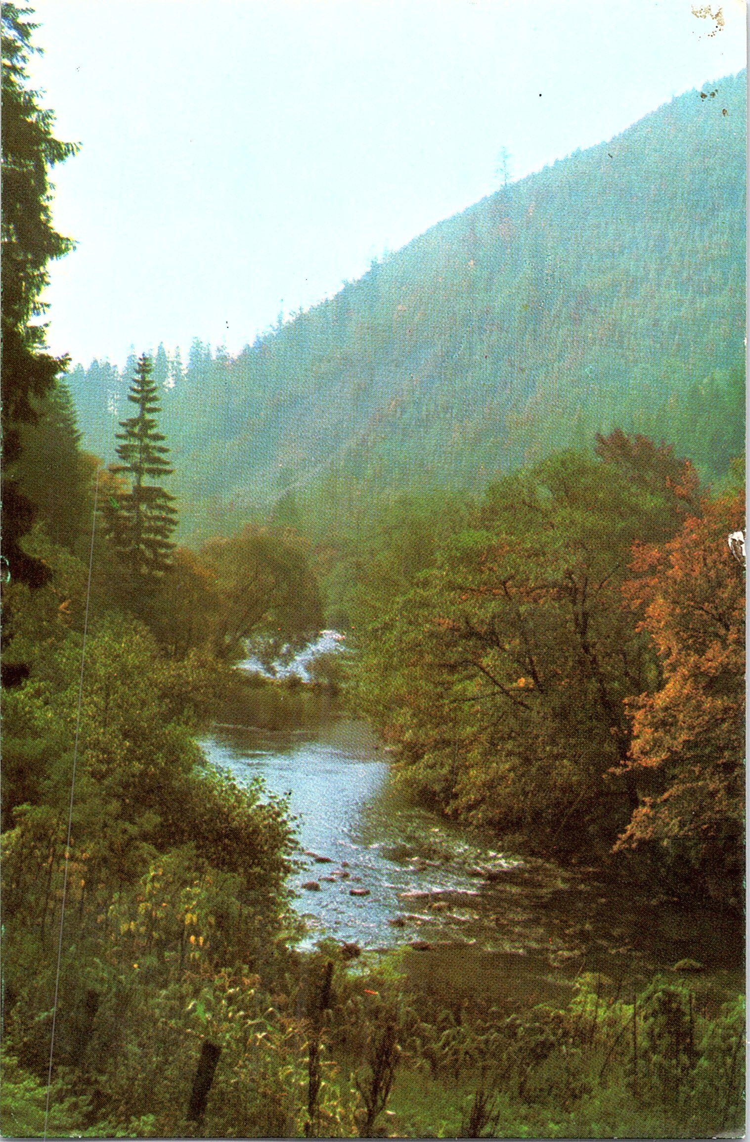 Tușnad - Valea Oltului