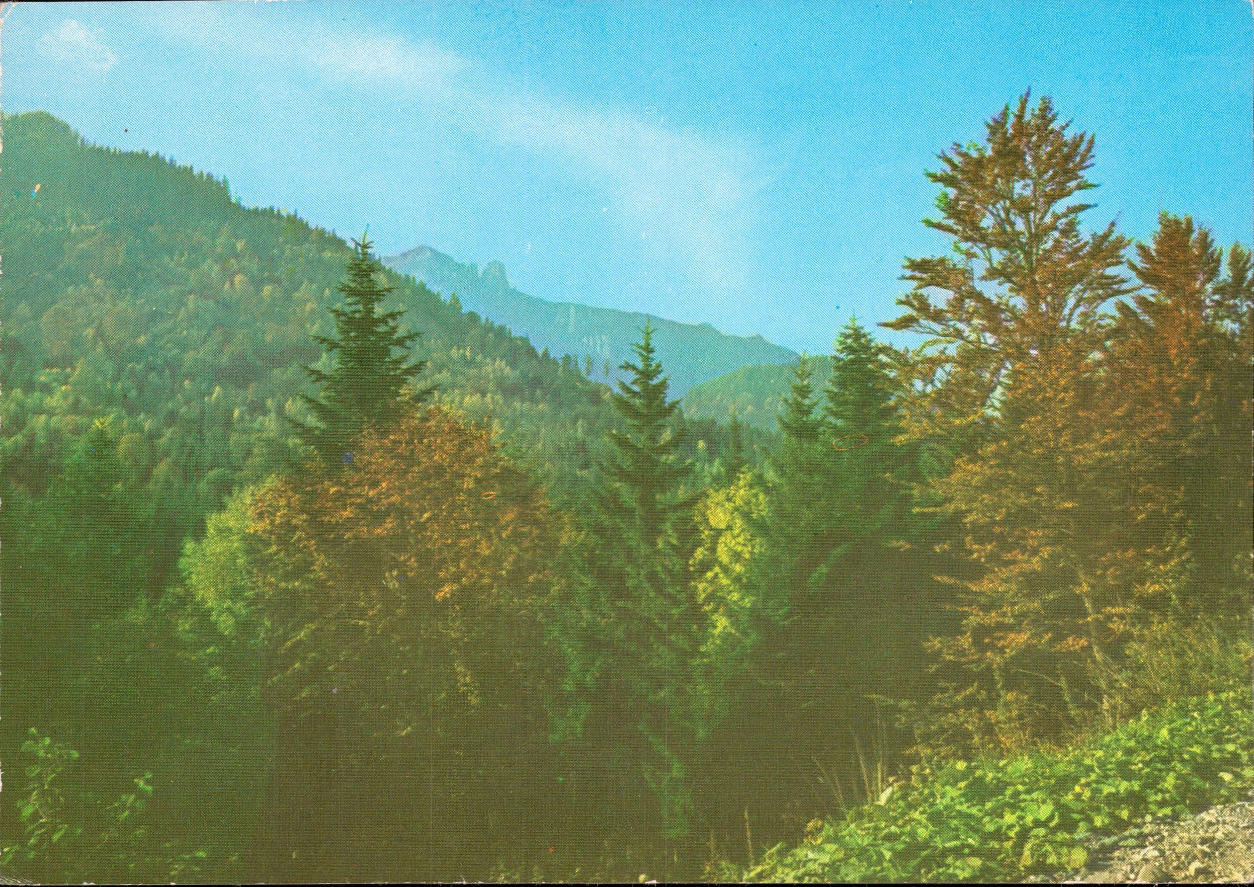 Masivul Ceahlău (jud. Neamț)