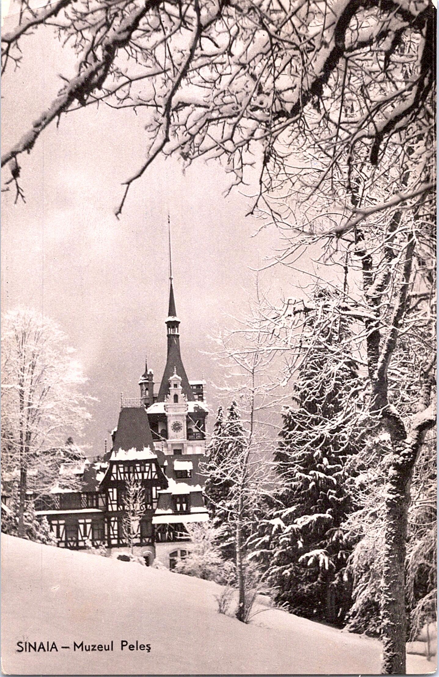 Sinaia-Castelul Peleș
