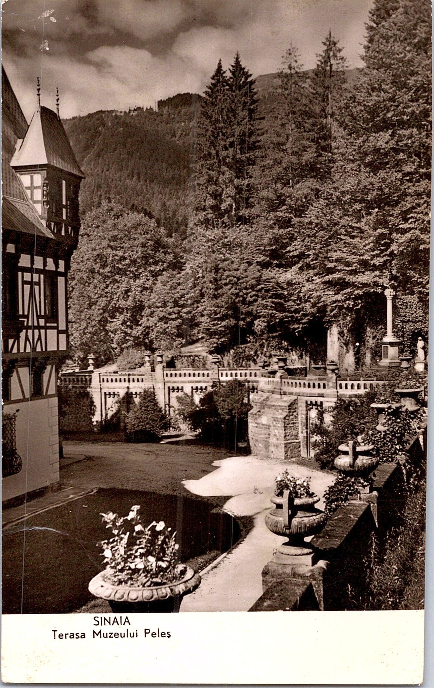 Muzeul Peleș - Terasa