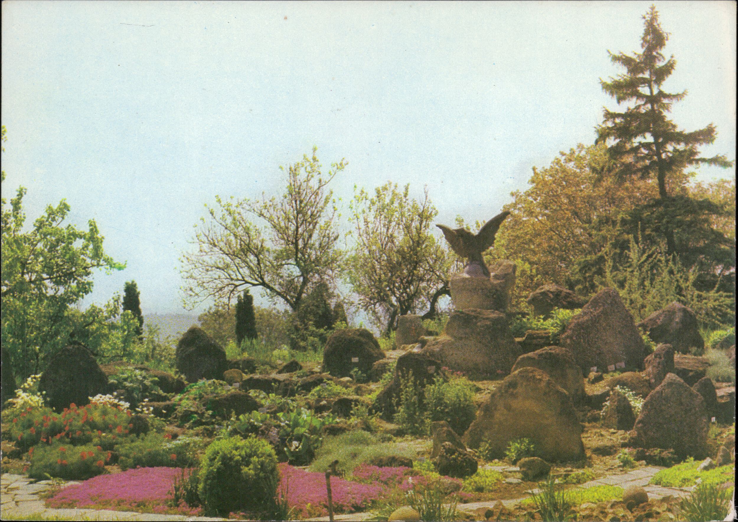 România - Iași. Grădina Botanică - Aspect din secția biologică