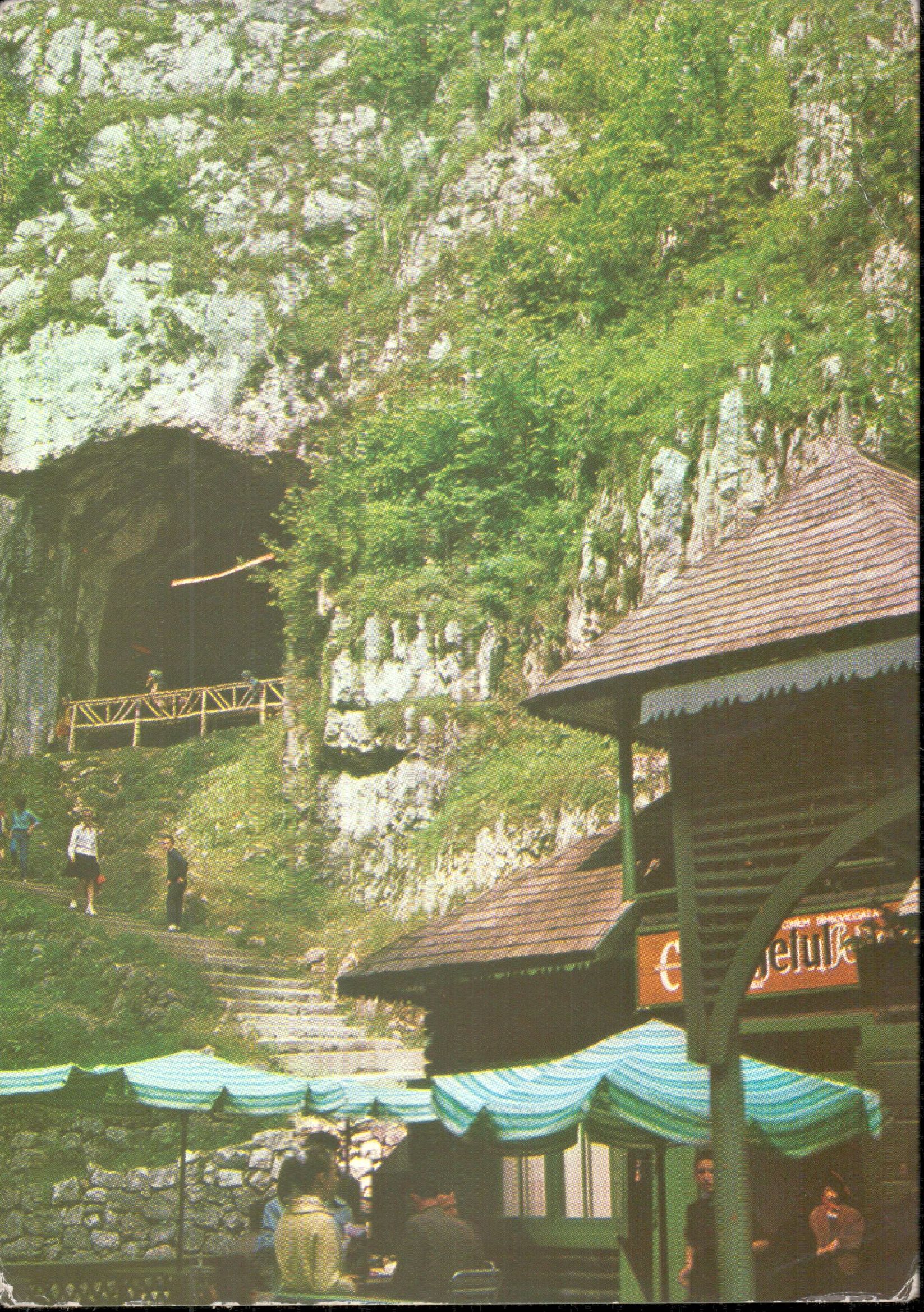 Peștera Dâmbovicioarei