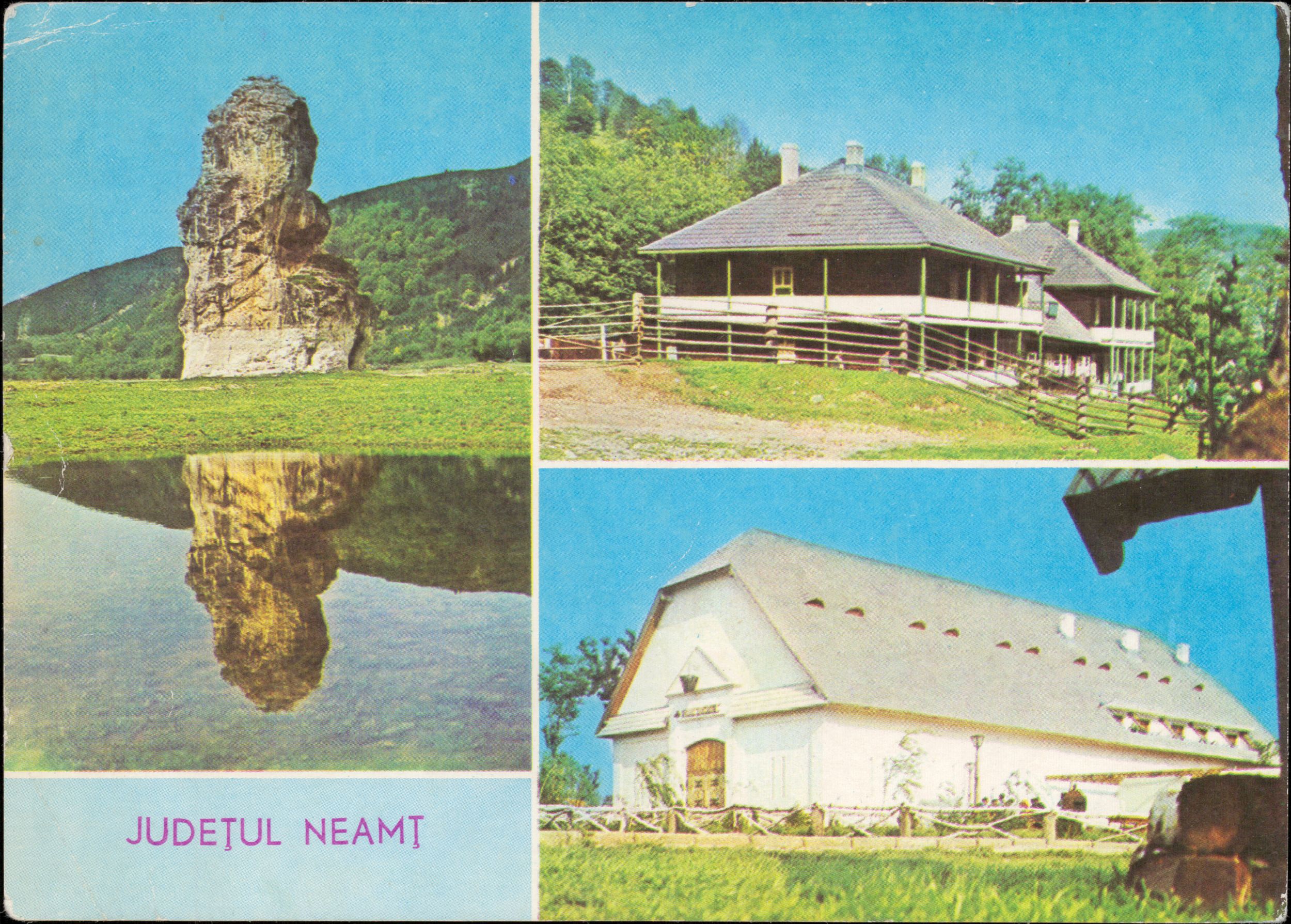 Județul Neamț