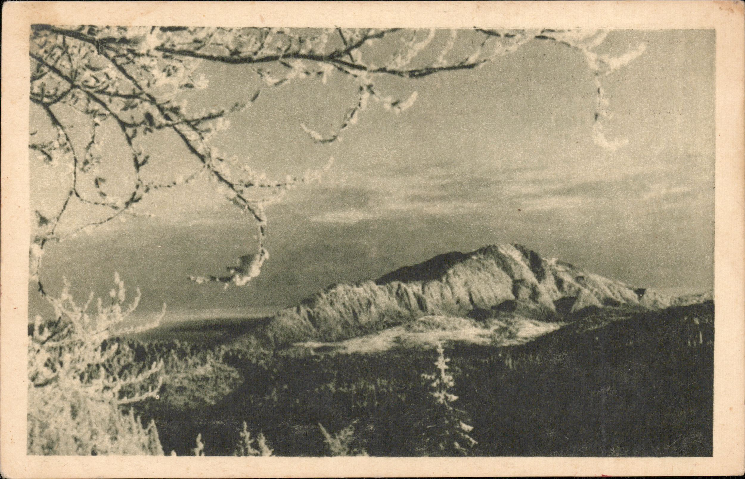 Bucegi - „Trei Brazi”