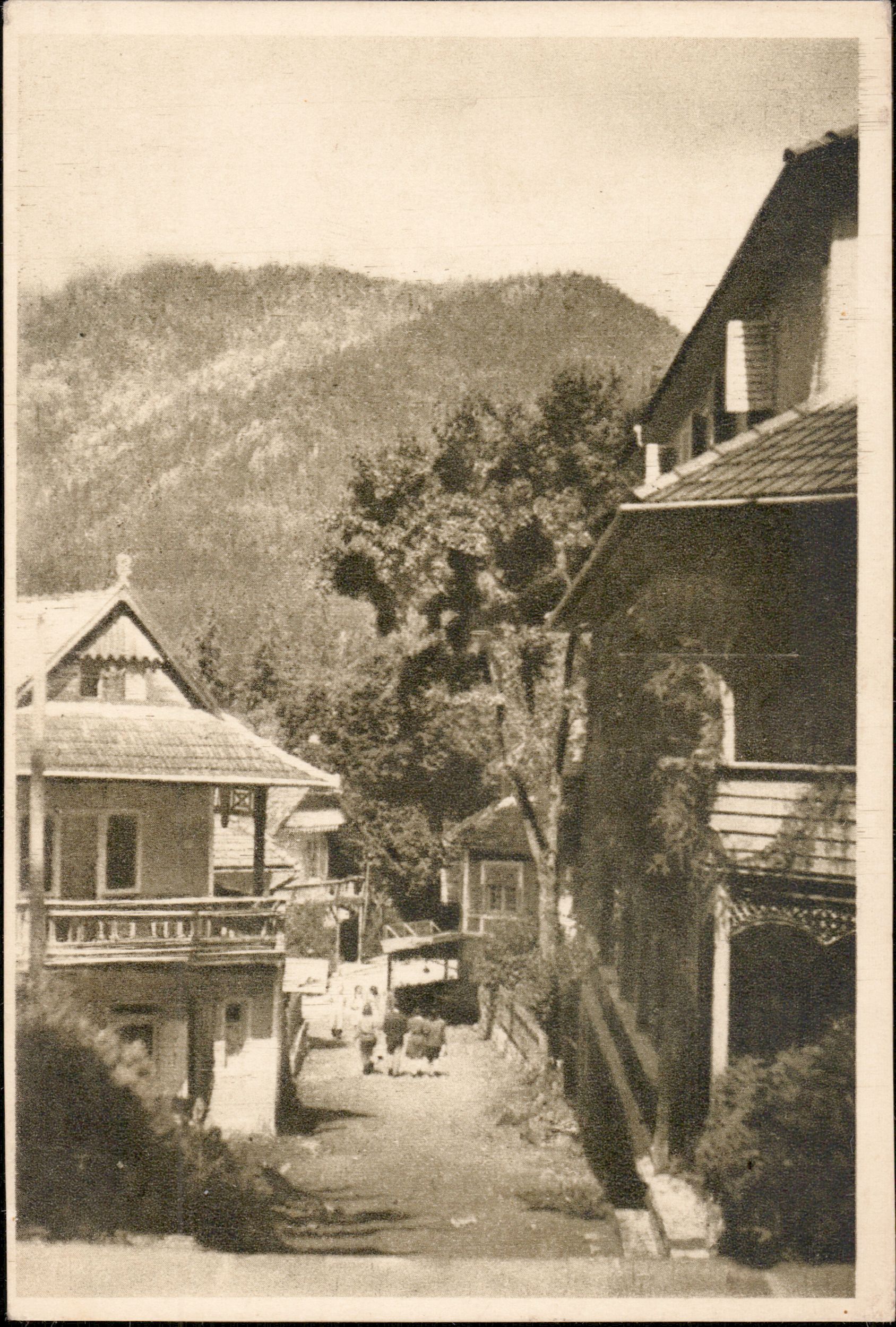 Tușnad - Vedere