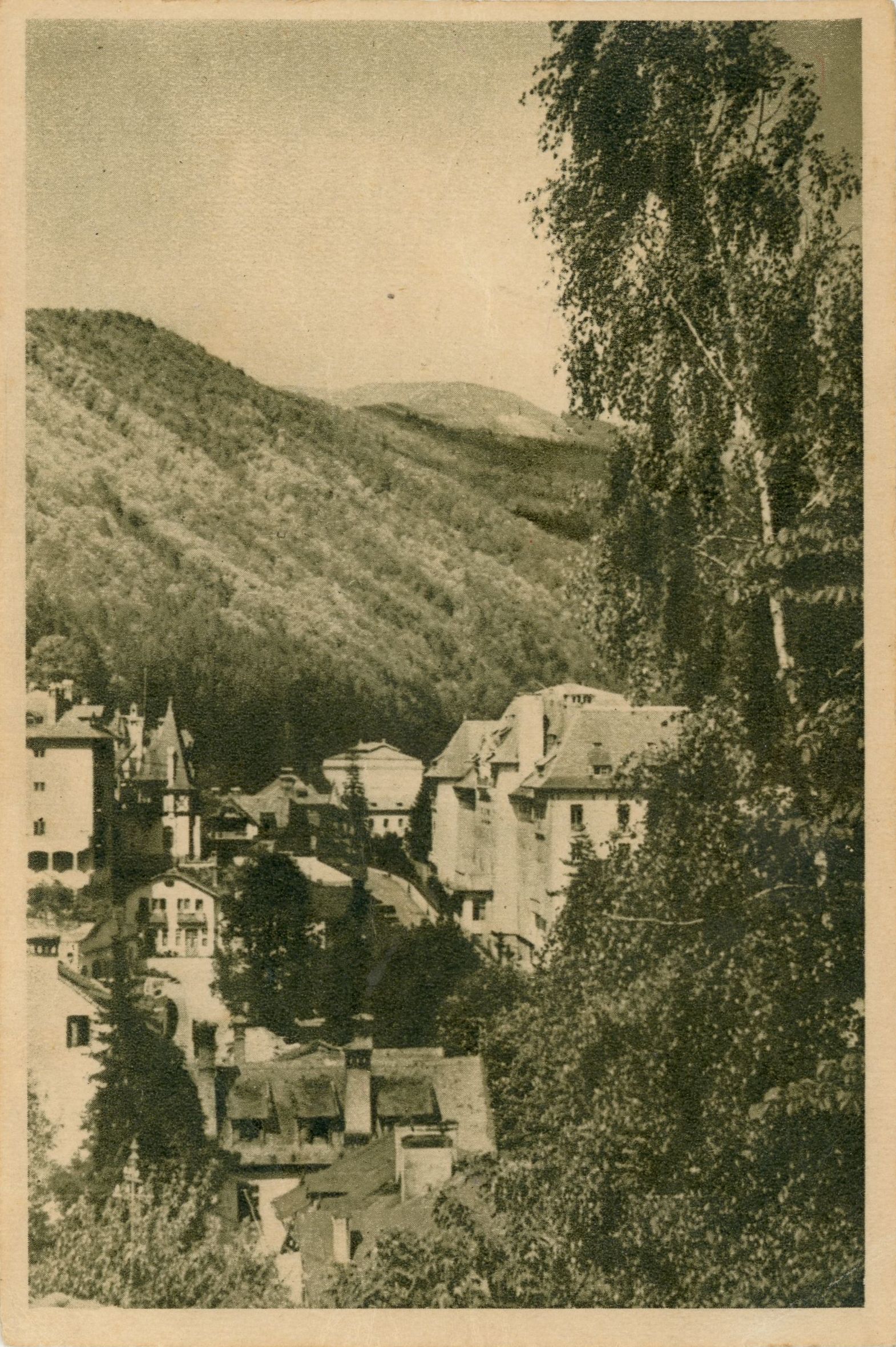 Sinaia - Vedere de pe Furnica