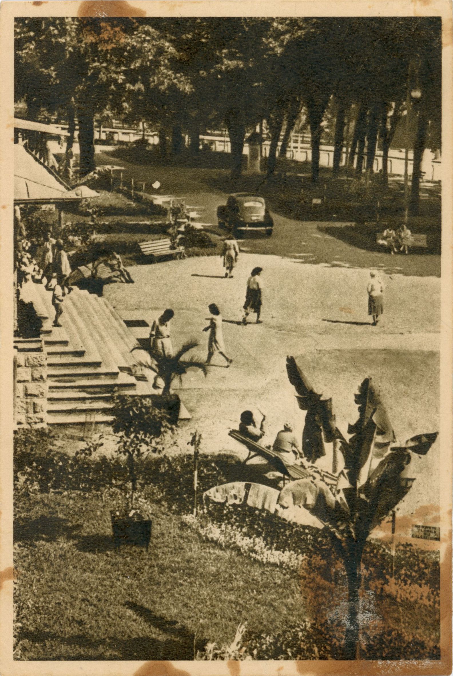 Călimănești - Parcul