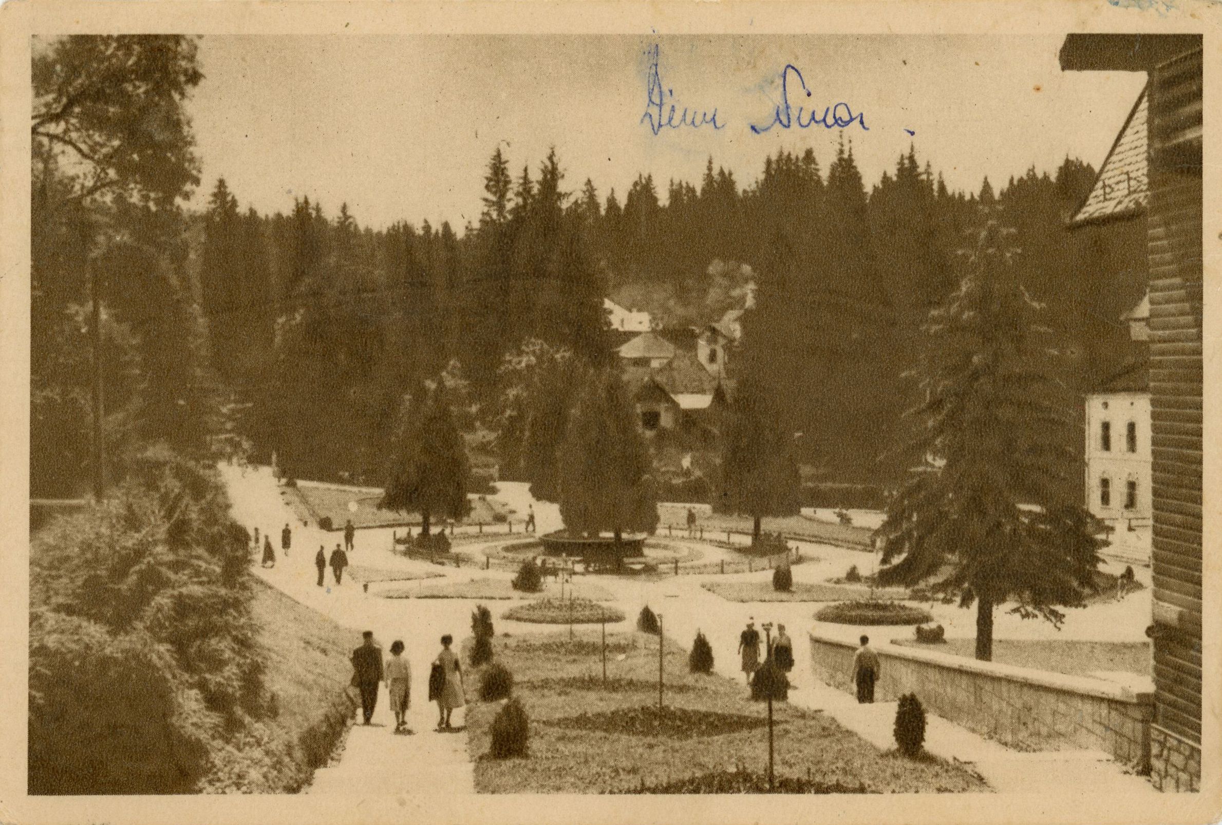 Borsec - Vedere din parc