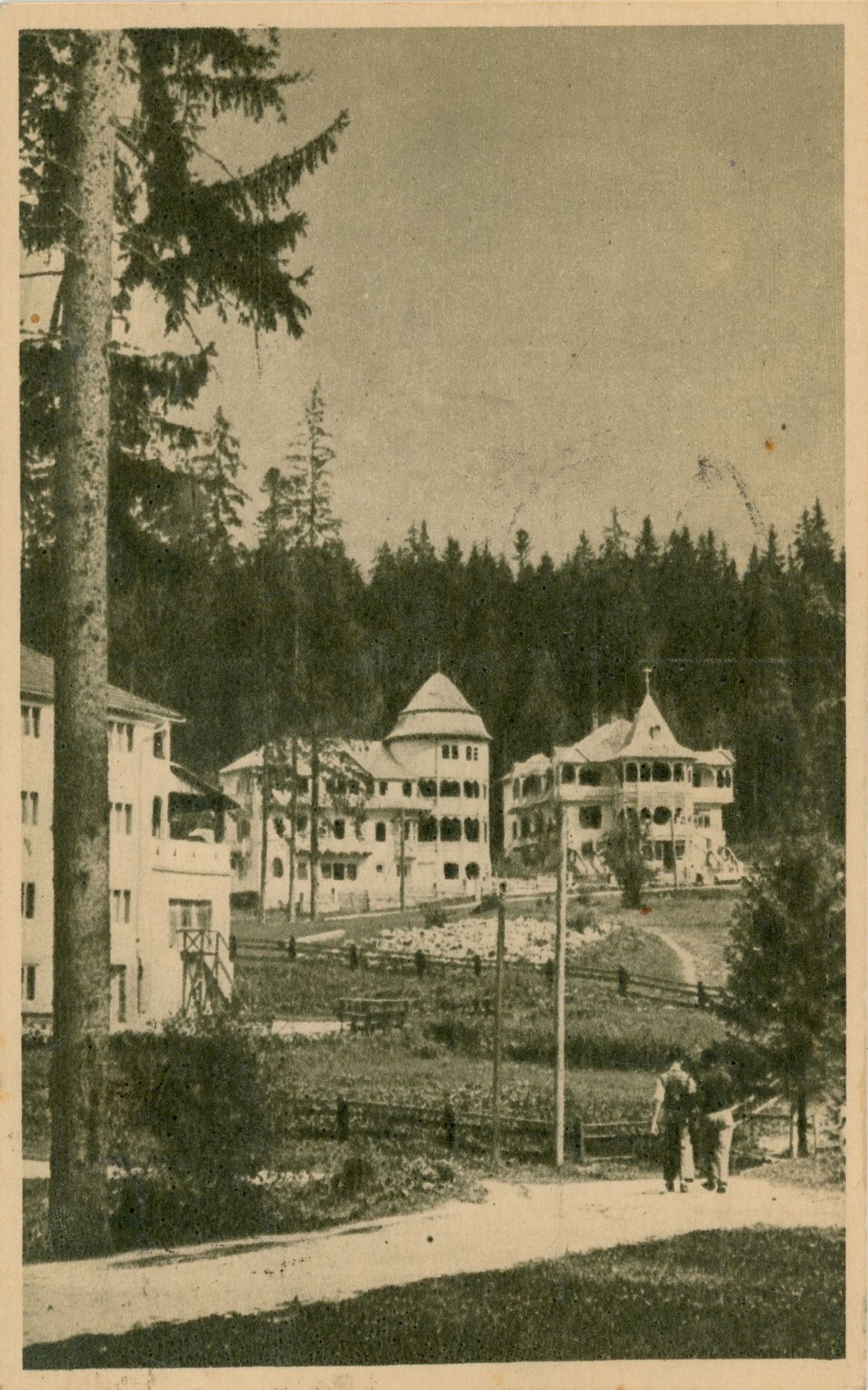 Borsec - Vedere
