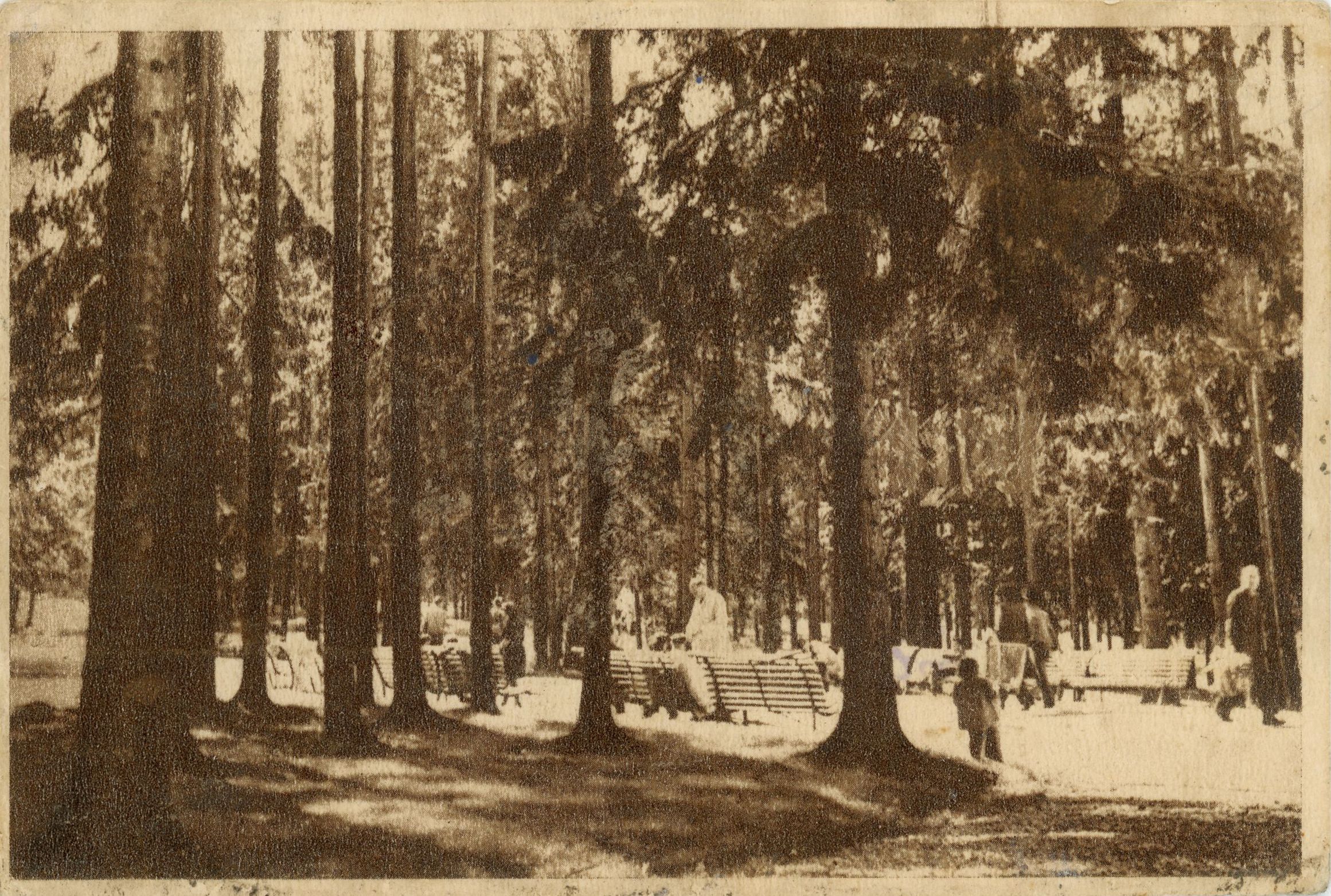 Vatra Dornei - Parcul