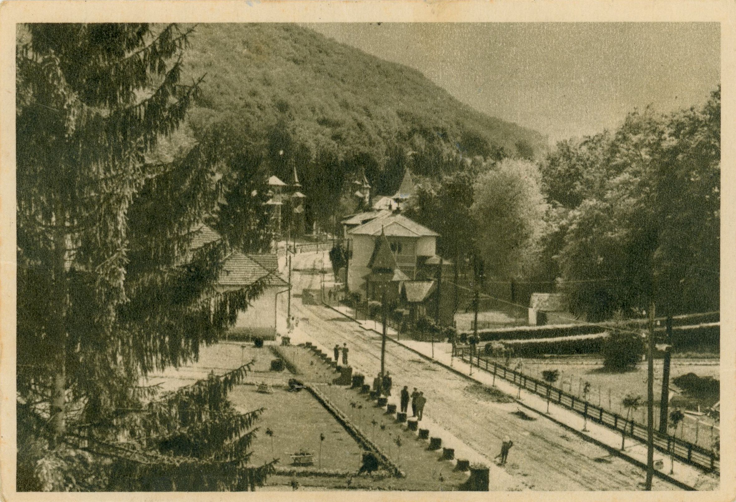 Sovata - Vedere