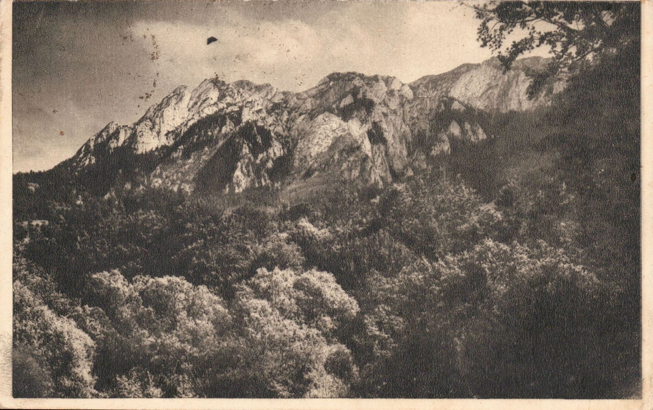 Piatra Craiului