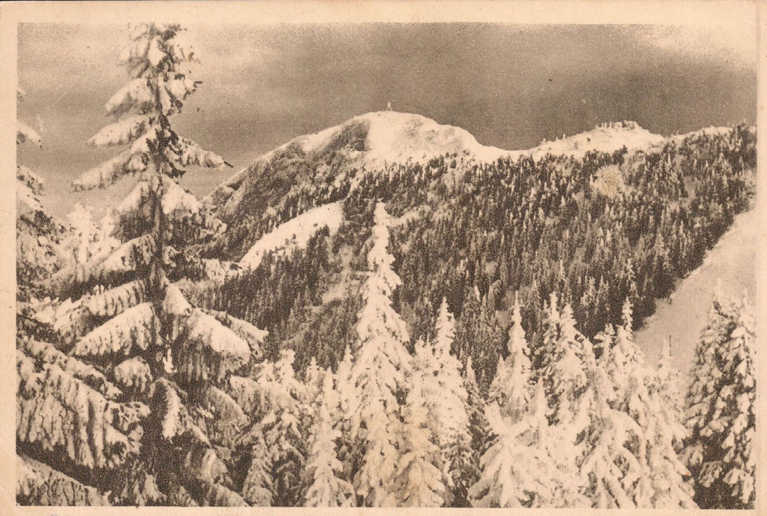 Postăvarul - Peisaj de iarnă