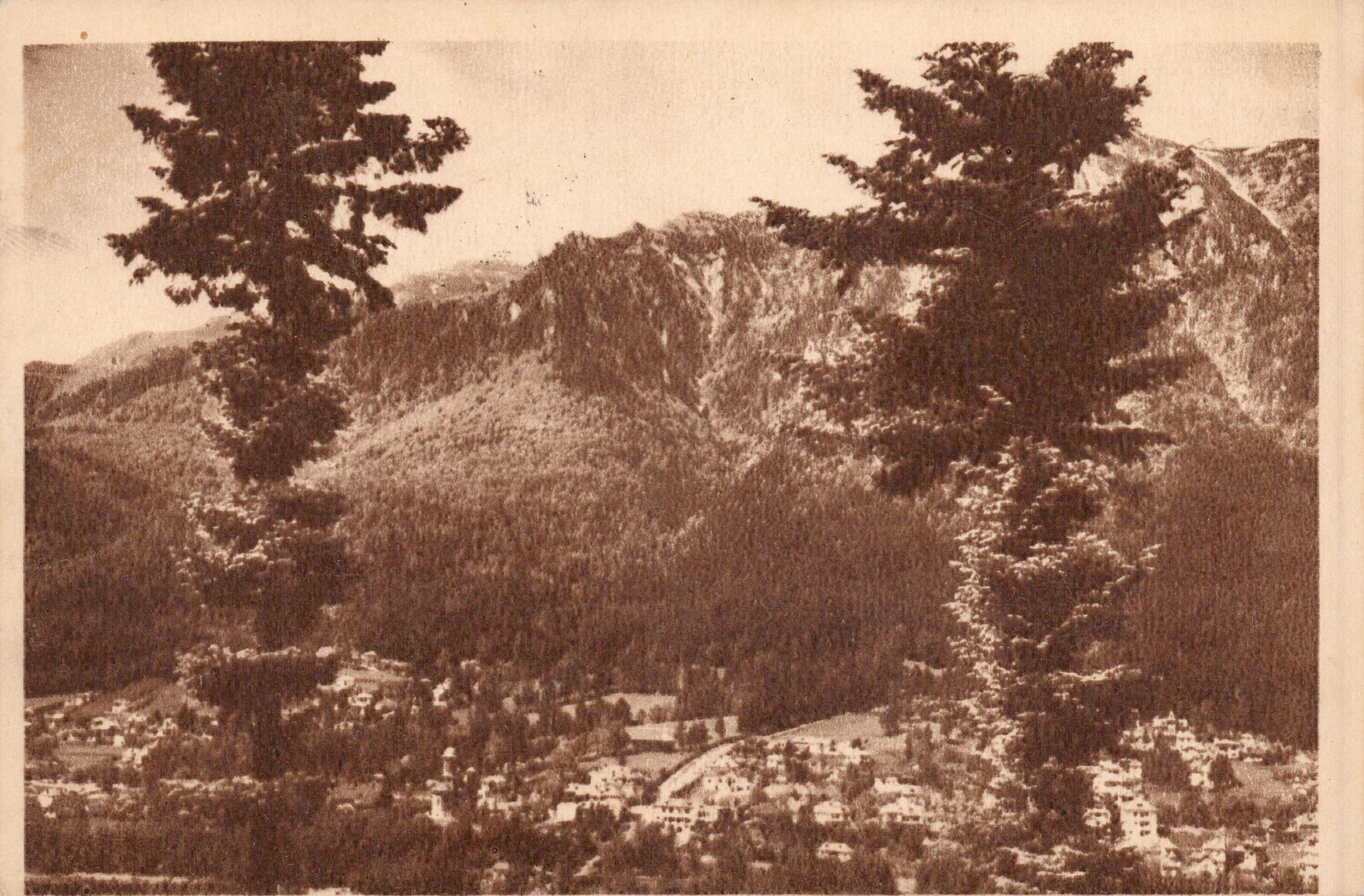 Poiana Țapului