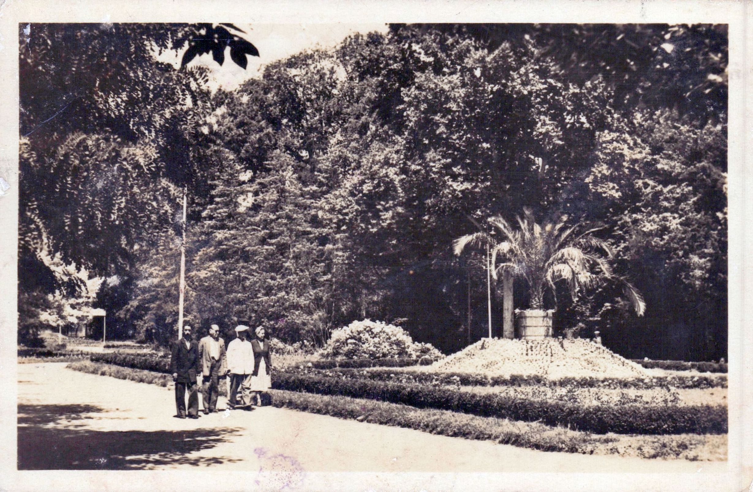 Buziaș - In Parcul de odihna