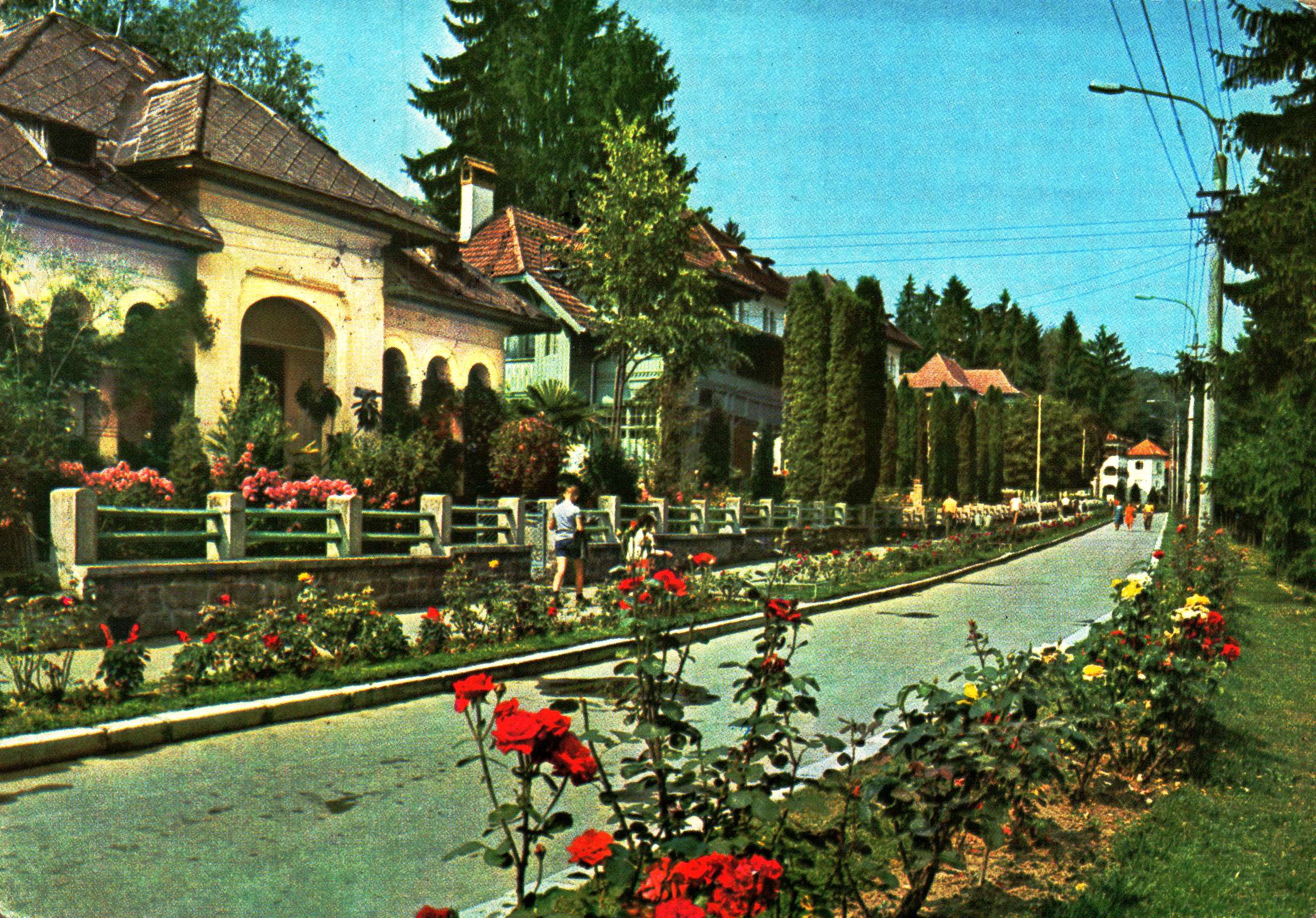 Olănești