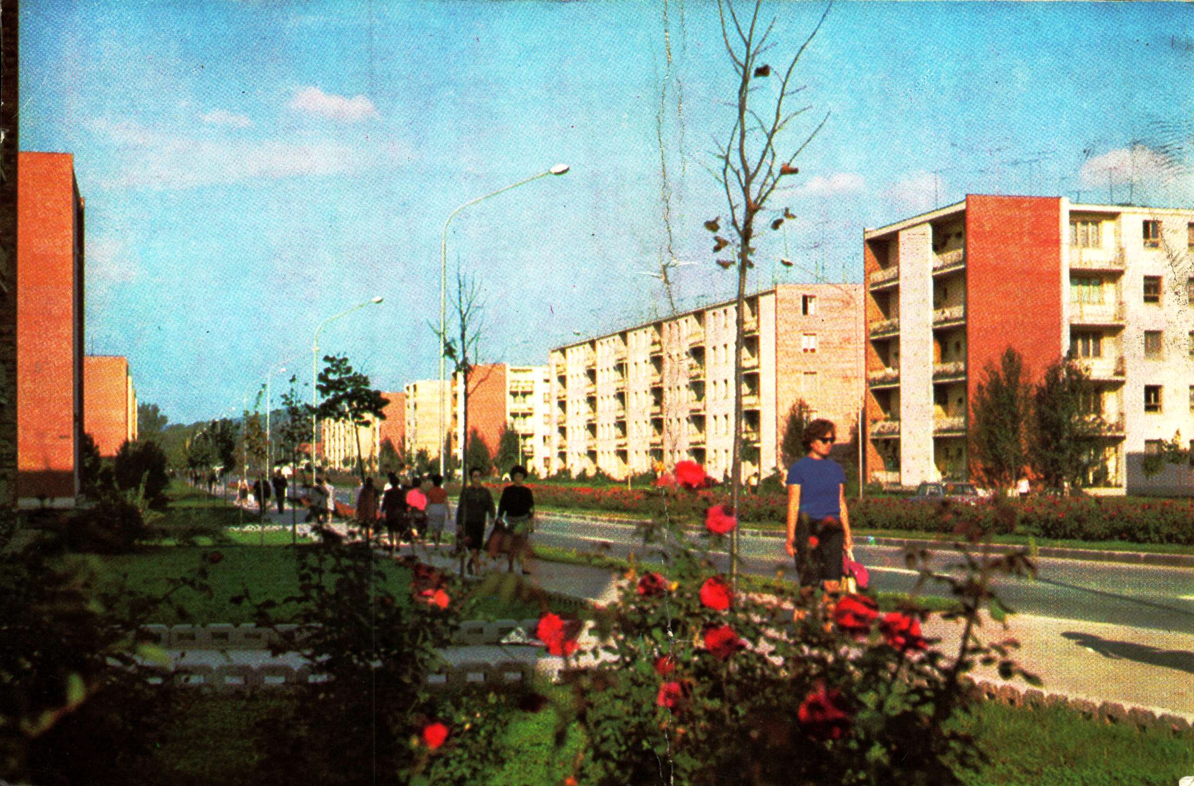 ”Calea București” - Pitești
