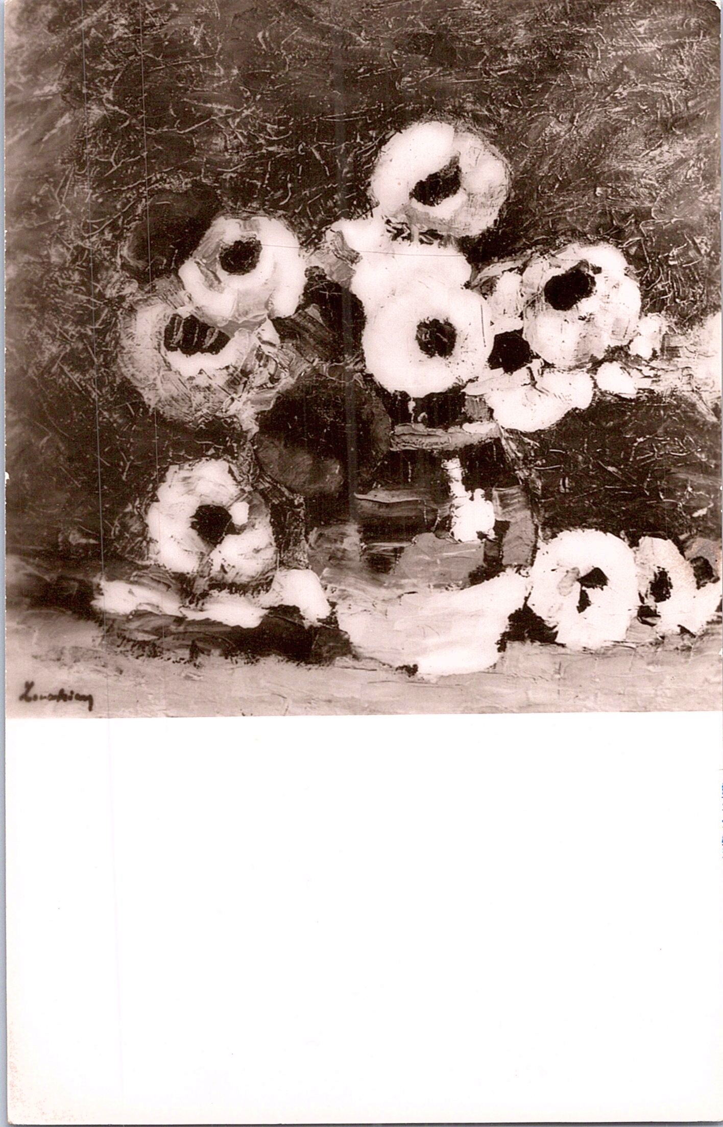 Anemone