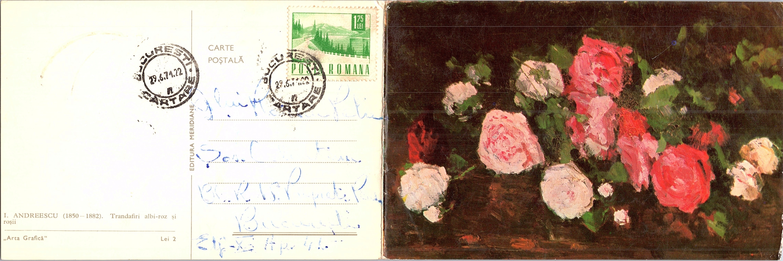 Trandafiri albi-roz și roșii