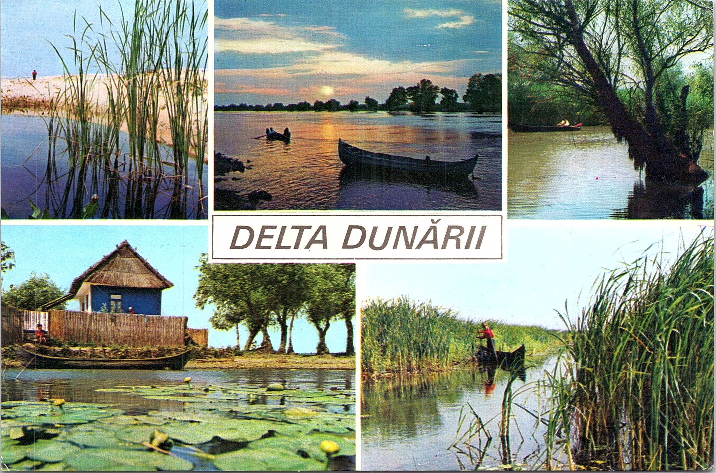 Delta Dunării