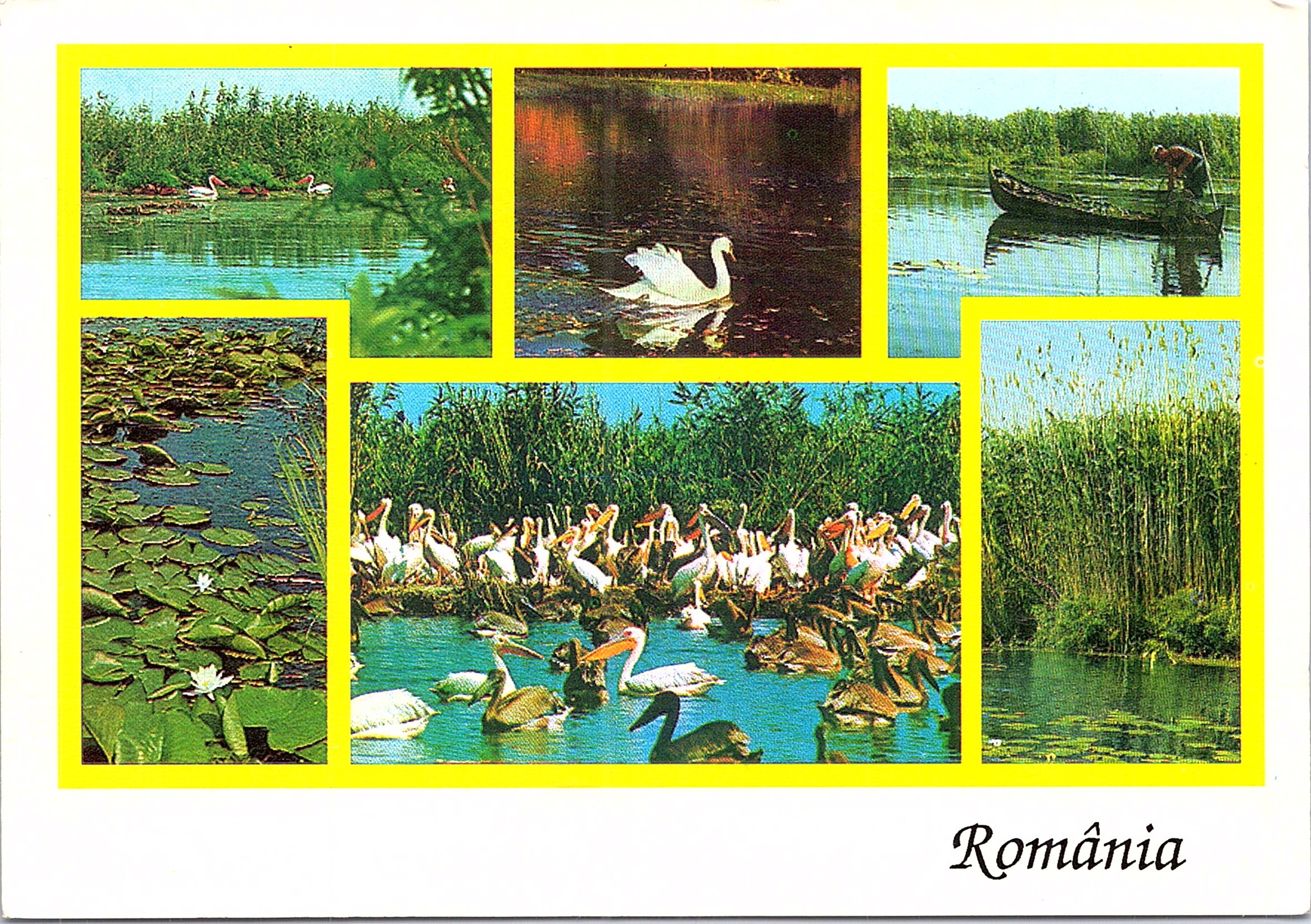 România. Delta Dunării