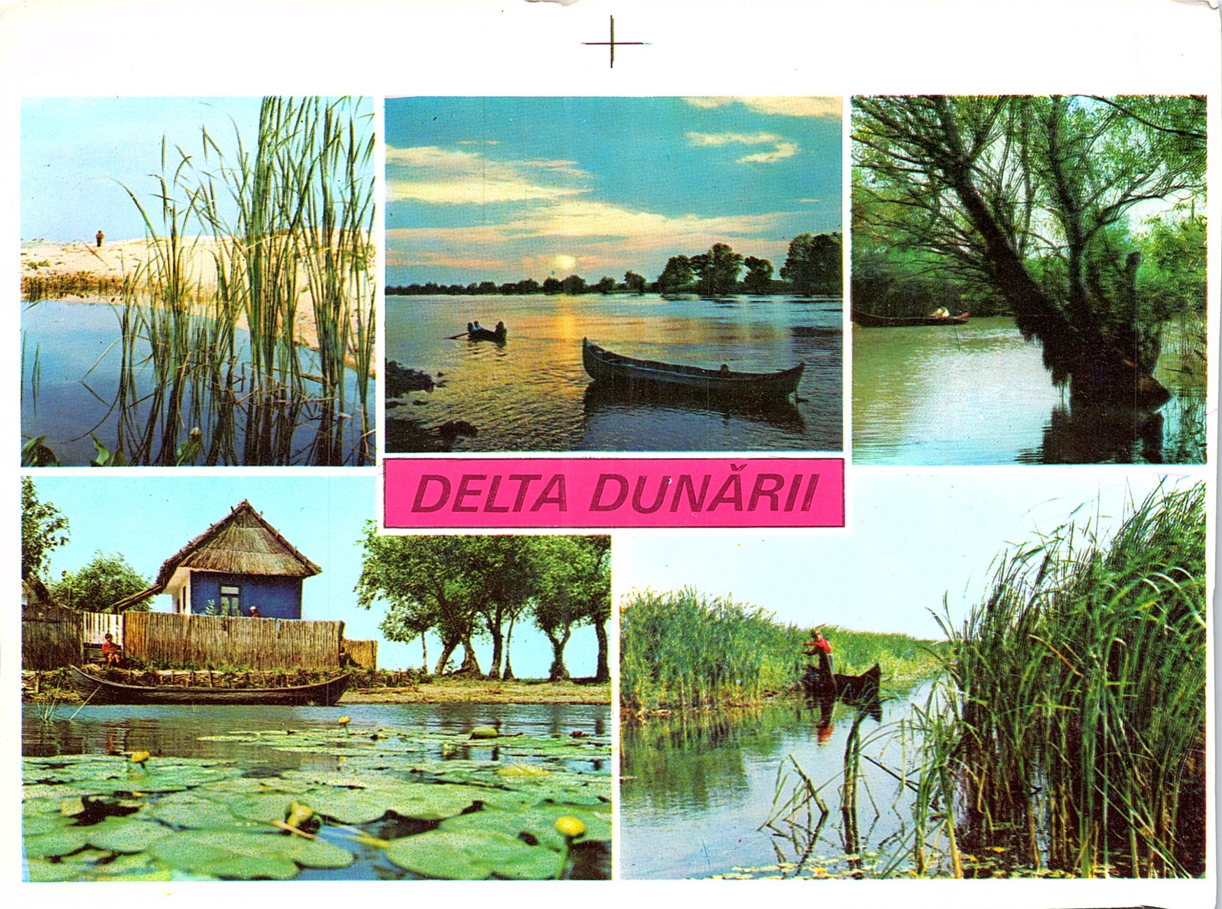 Delta Dunării