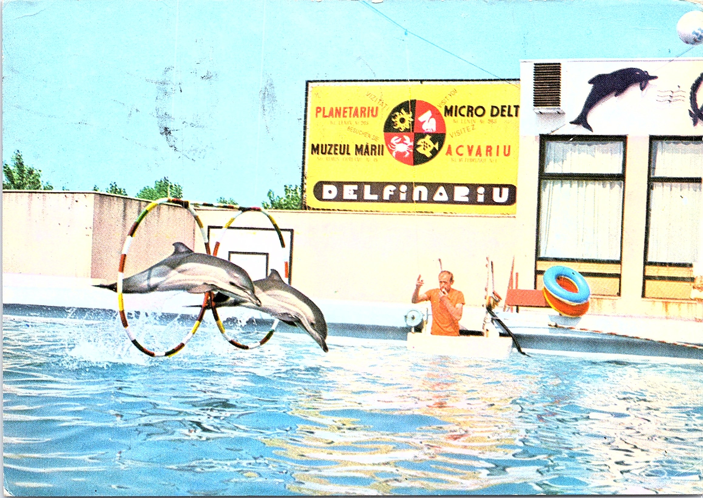 Delfinariu - Constanța