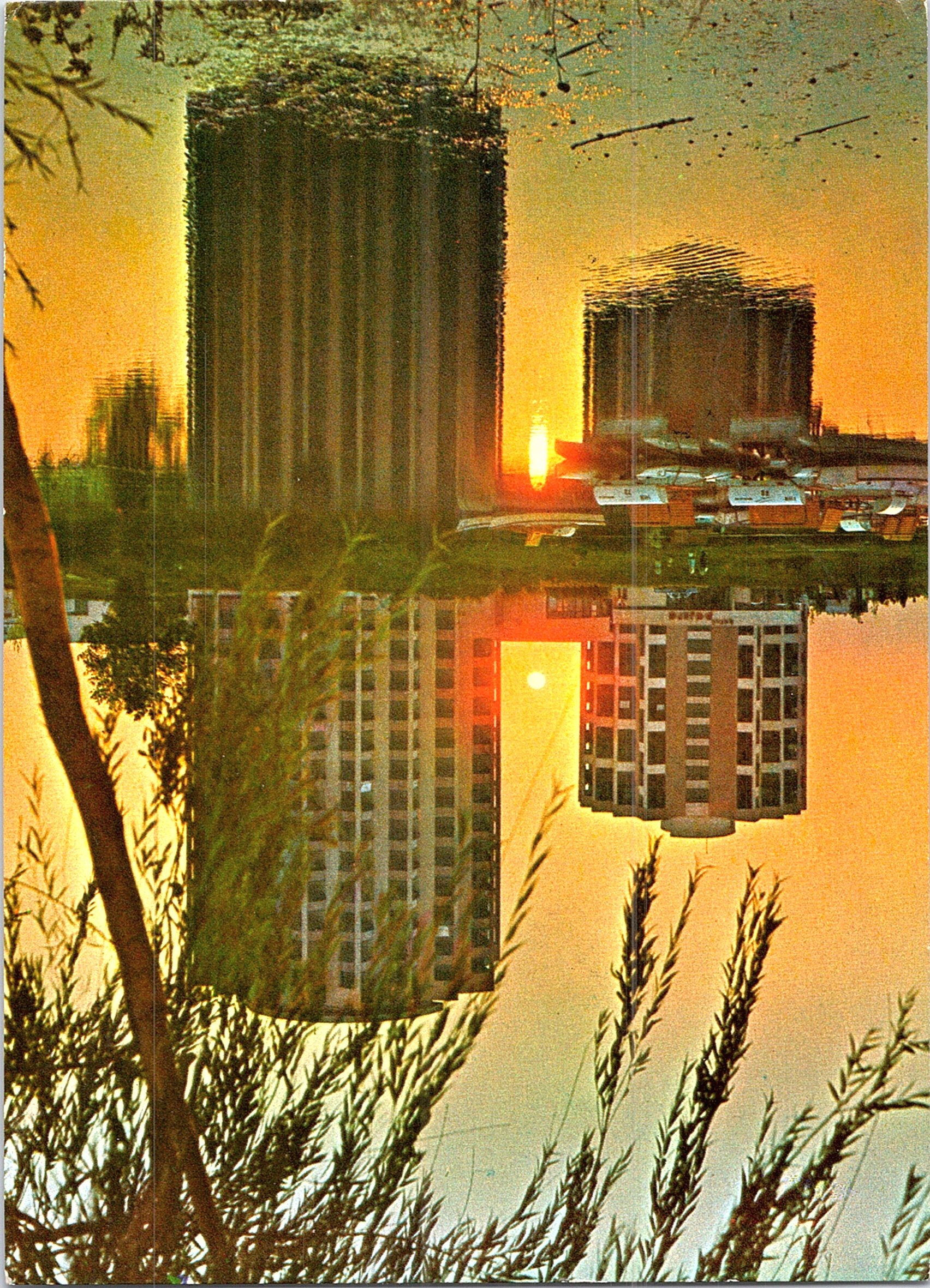 Mangalia Nord - Venus
