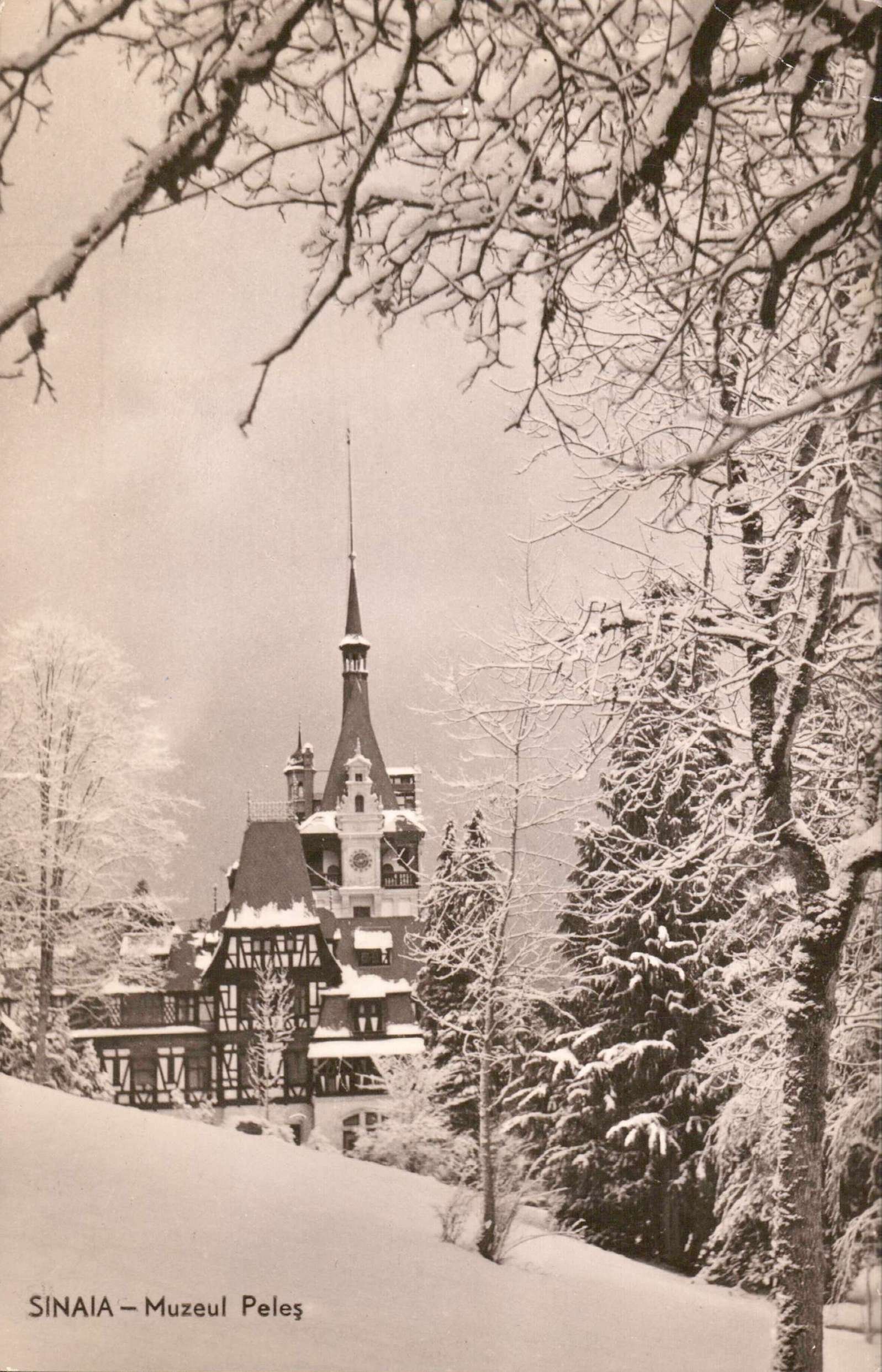 Sinaia - Muzeul Peleș