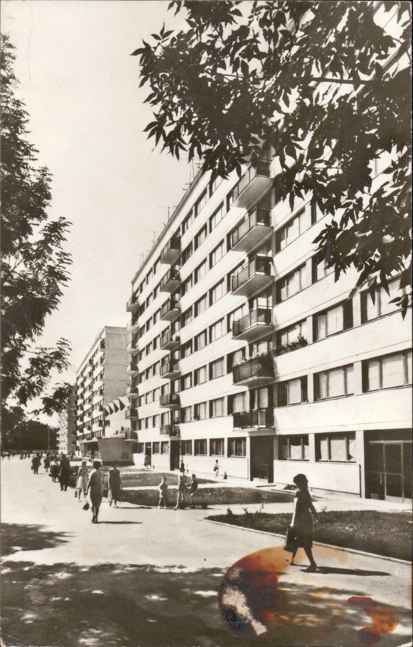 București. Pe șoseaua Pieptănari