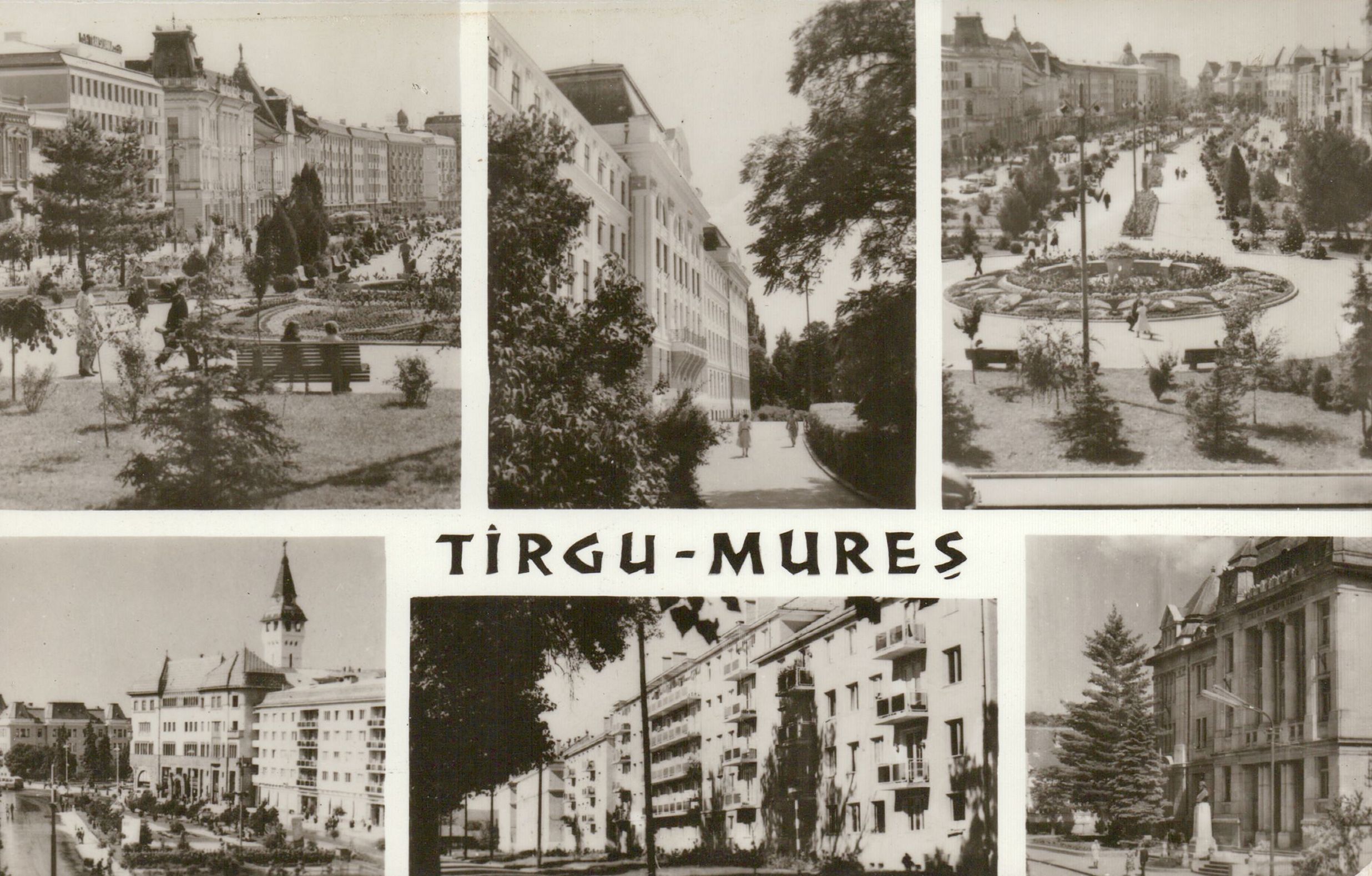 Tîrgu Mureș