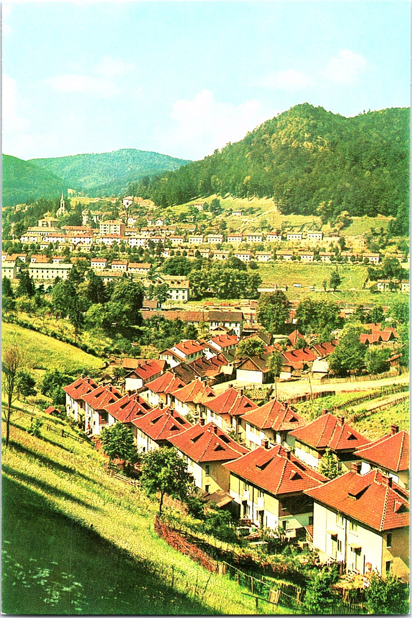 Anina
