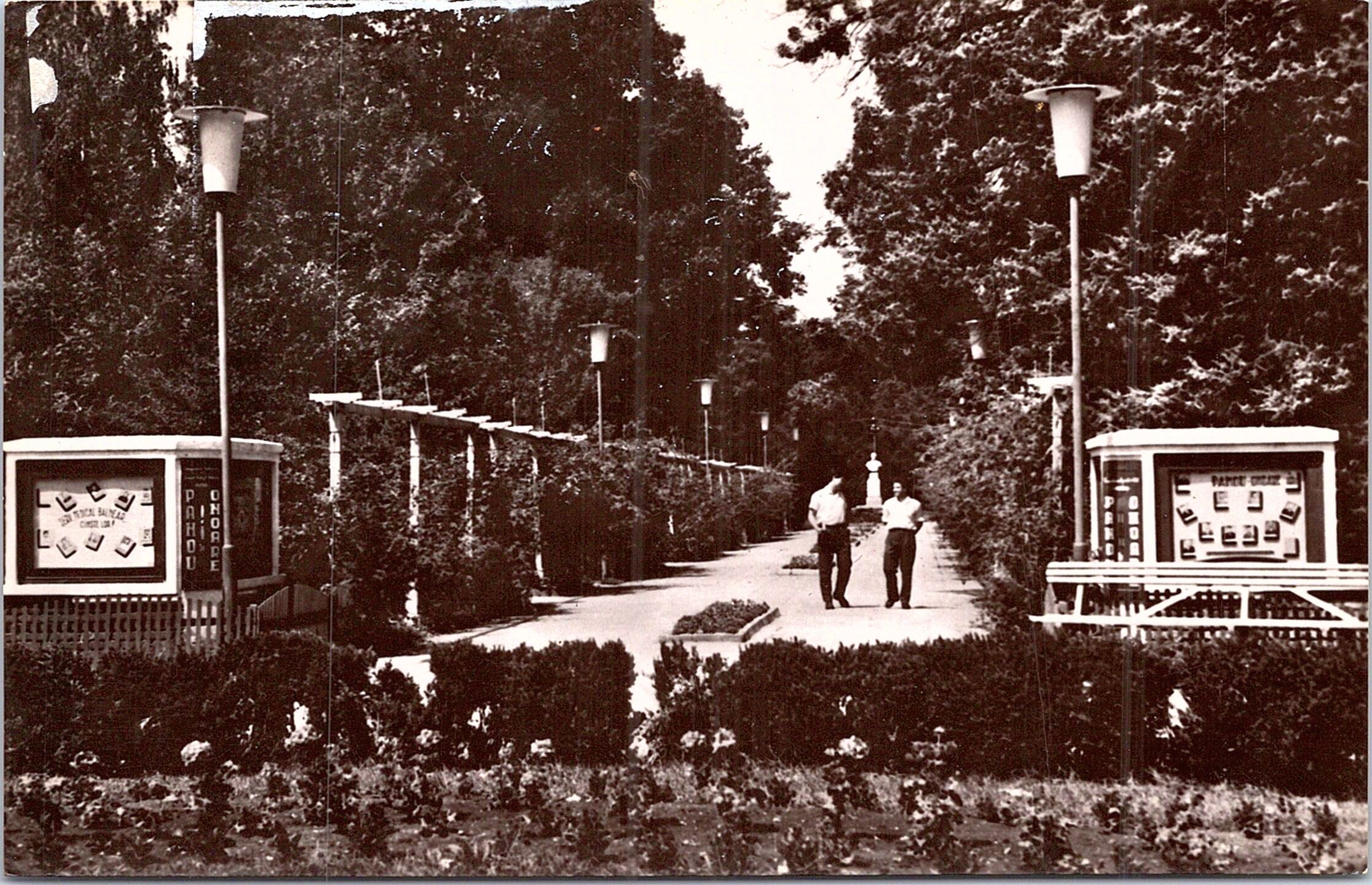 Buziaș - Vedere din parc